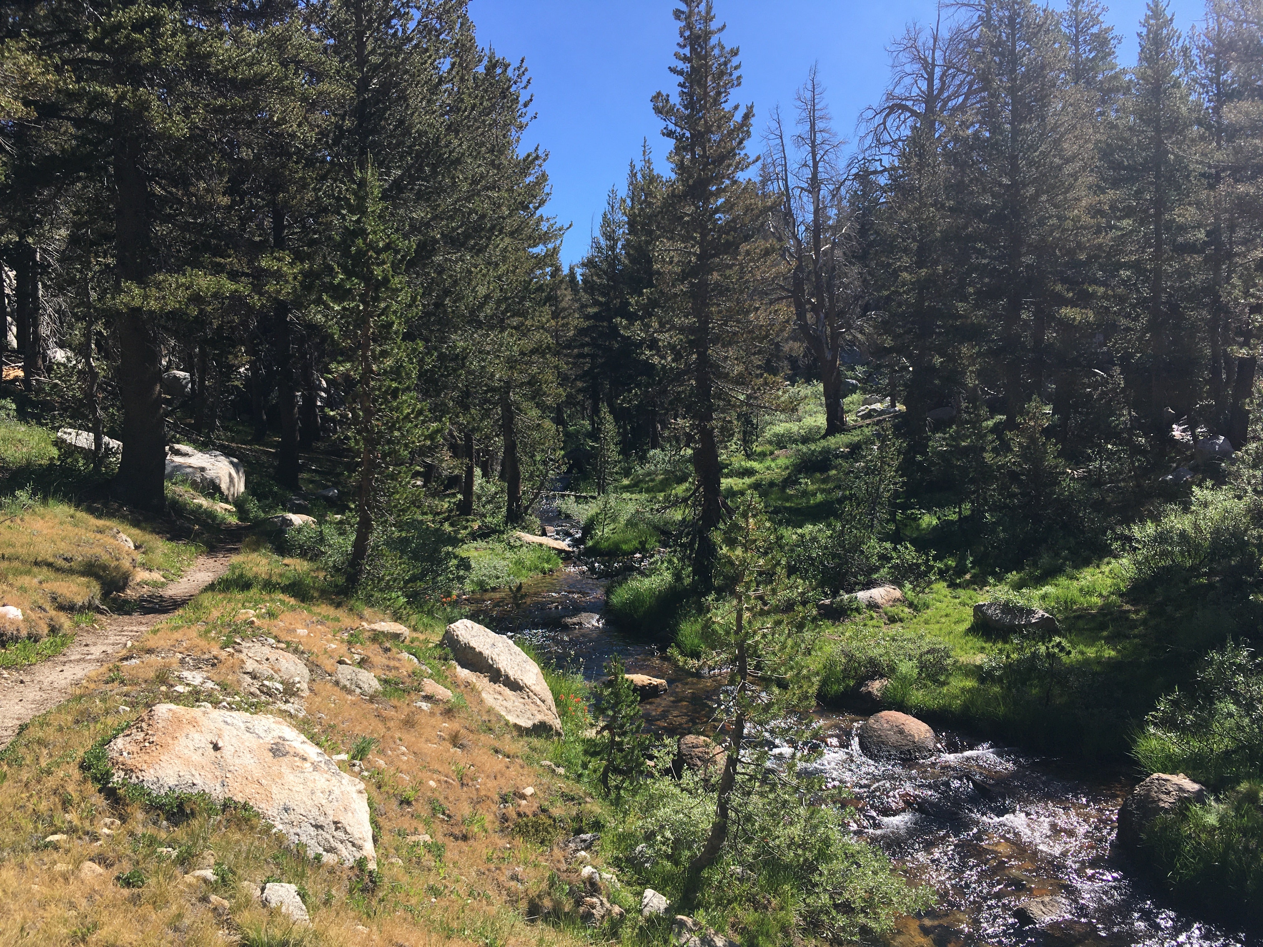 Best Lightweight Backpacking Gear for Yosemite National Park - Vogelsang High Sierra Camp Essentials | Hiking & Camping Equipment