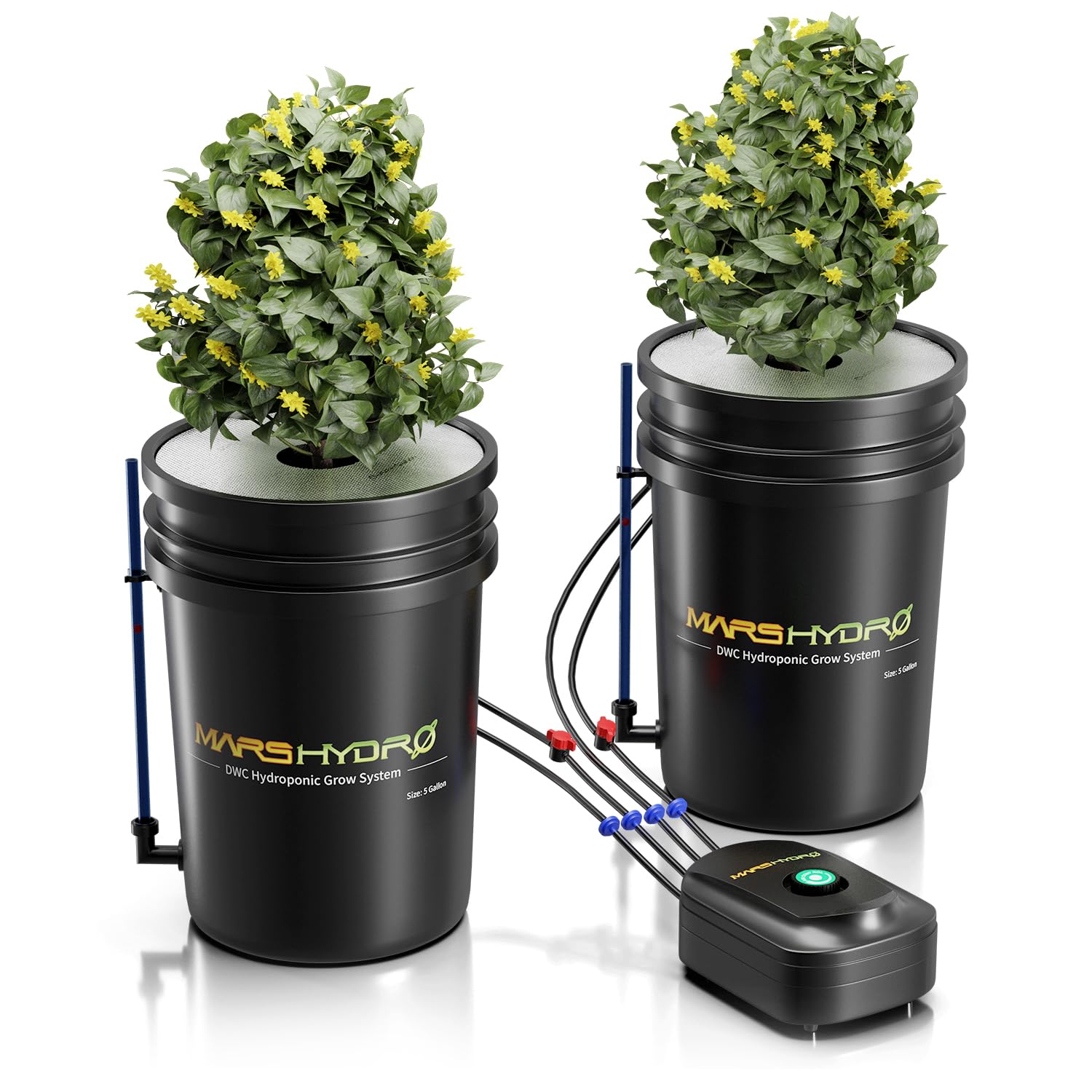Mars Hydro DWC Hydroponics Grow System - 5 Gallon Deep Water Culture Kit with 8W Air Pump, Multi-Purpose Air Hose, Air Stone, 2 Buckets & Top Drip Kit | Indoor Herb Garden, Hydroponic Vegetables, Plant Growing System for Home & Greenhouse Use