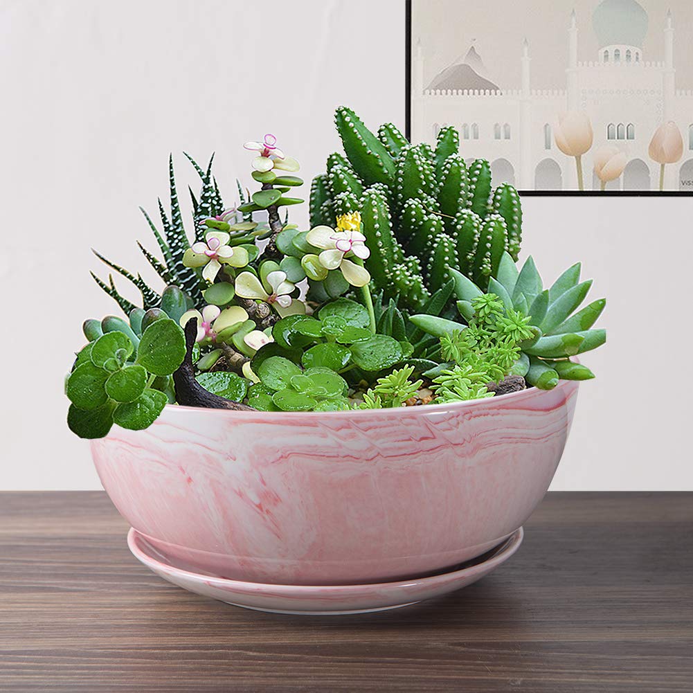Large Ceramic Succulent Planter Pot with Drainage Hole & Saucer - Marble Flower Pot for Indoor/Outdoor Plants, Round Bonsai Planter in Pink - Perfect for Home Decor, Office Desk, Garden & Patio