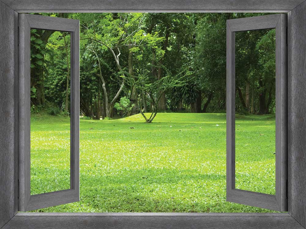 Open Window Forest Wall Mural - Removable Peel & Stick Wall Decal - 24x32 Inches Home Decor - Nature Inspired Wall Art for Living Room, Bedroom & Office