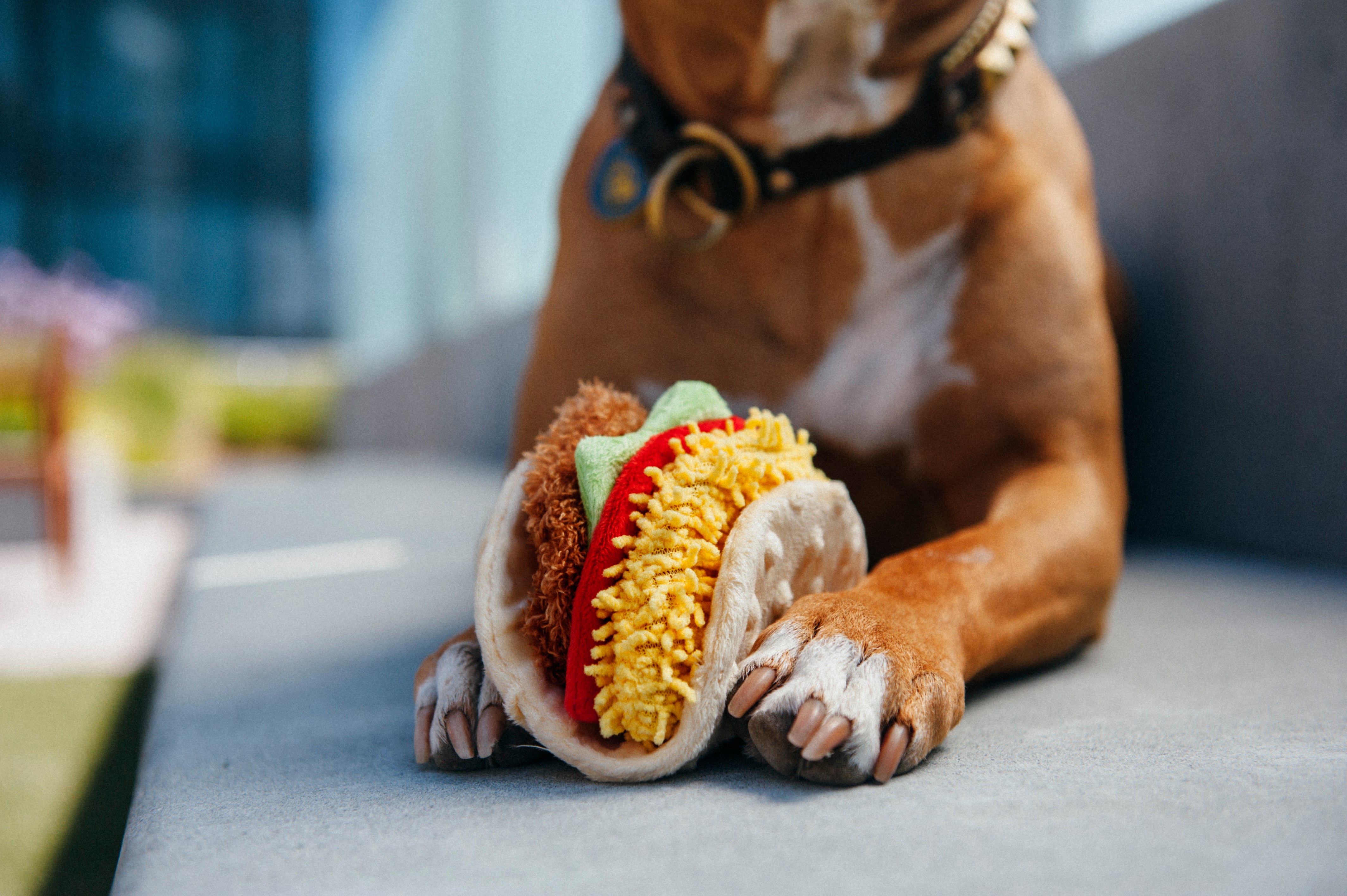 El Taco Dog Plush Toy - International Classic™ Chew-Resistant Squeaky Stuffed Animal for Pets | Perfect for Playtime, Training & Cuddling | Pet P.L.A.Y.
