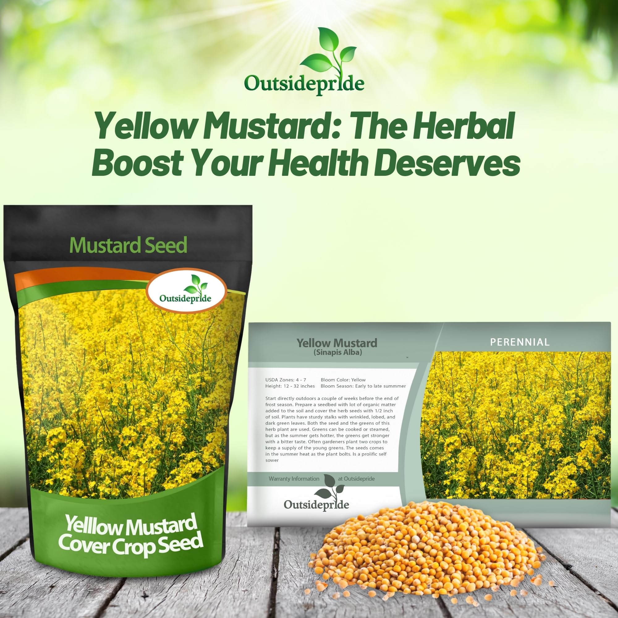Outsidepride 10000 Seeds Annual Yellow Mustard Herb Garden Seeds - Non-GMO Microgreens, Sprouts & Cooking Use - Perfect for Salads, Sandwiches & Home Gardening