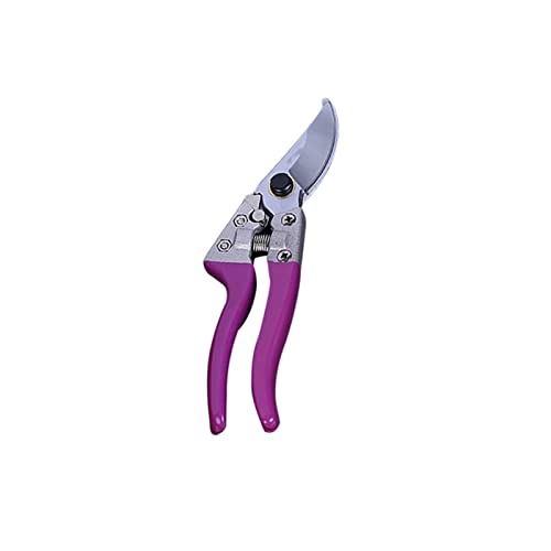White Purple