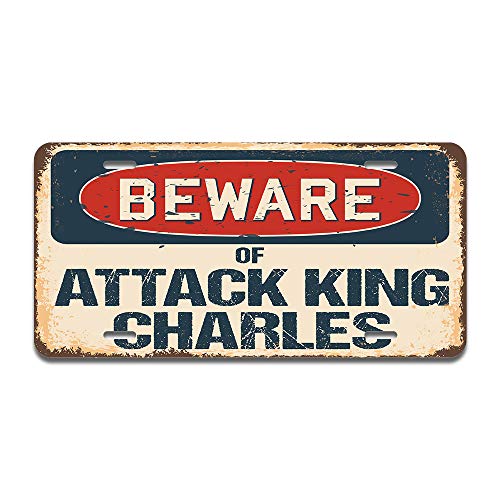 Beware of Attack King Charles