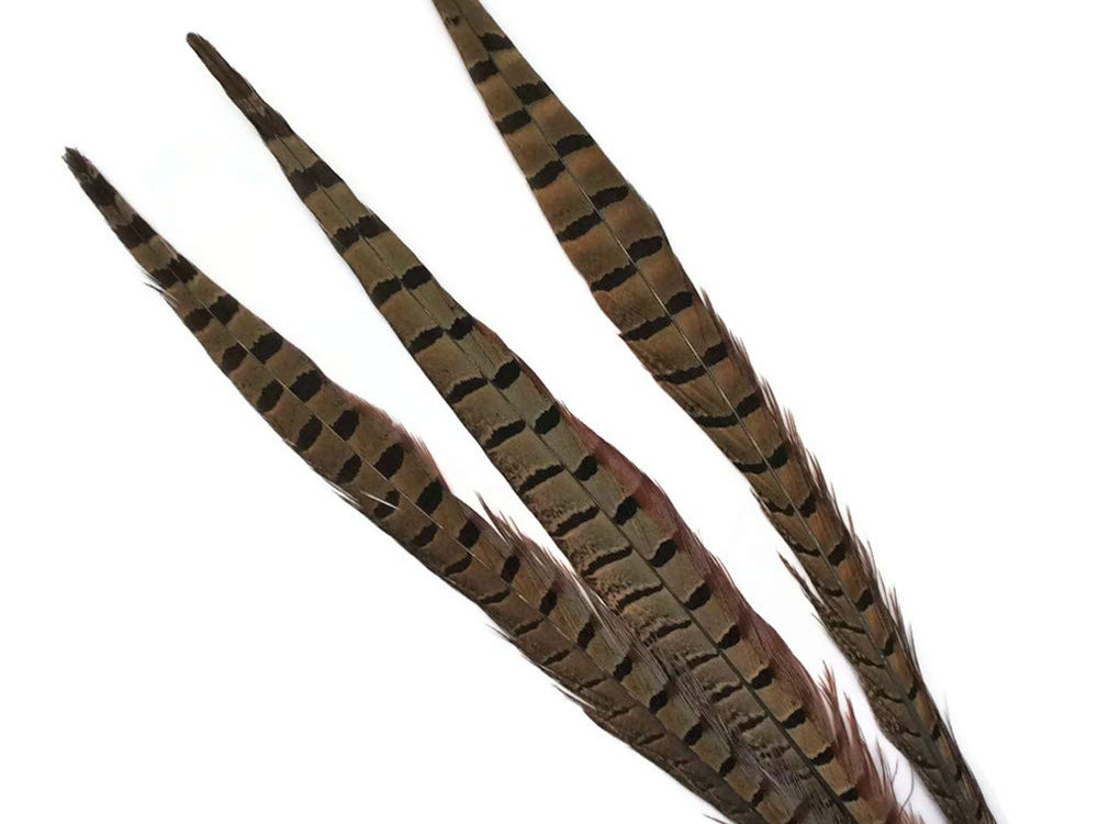 50 Pieces Bulk Natural Brown Ringneck Pheasant Tail Feathers 10-12