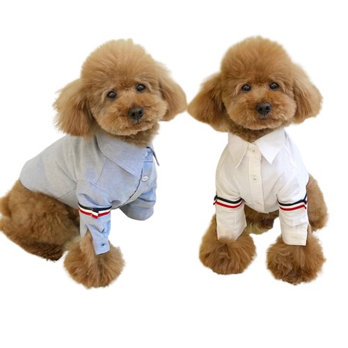 Classic Dog Shirts for Small & Large Breeds - Comfortable Pet Clothing for Daily Walks & Outdoor Adventures