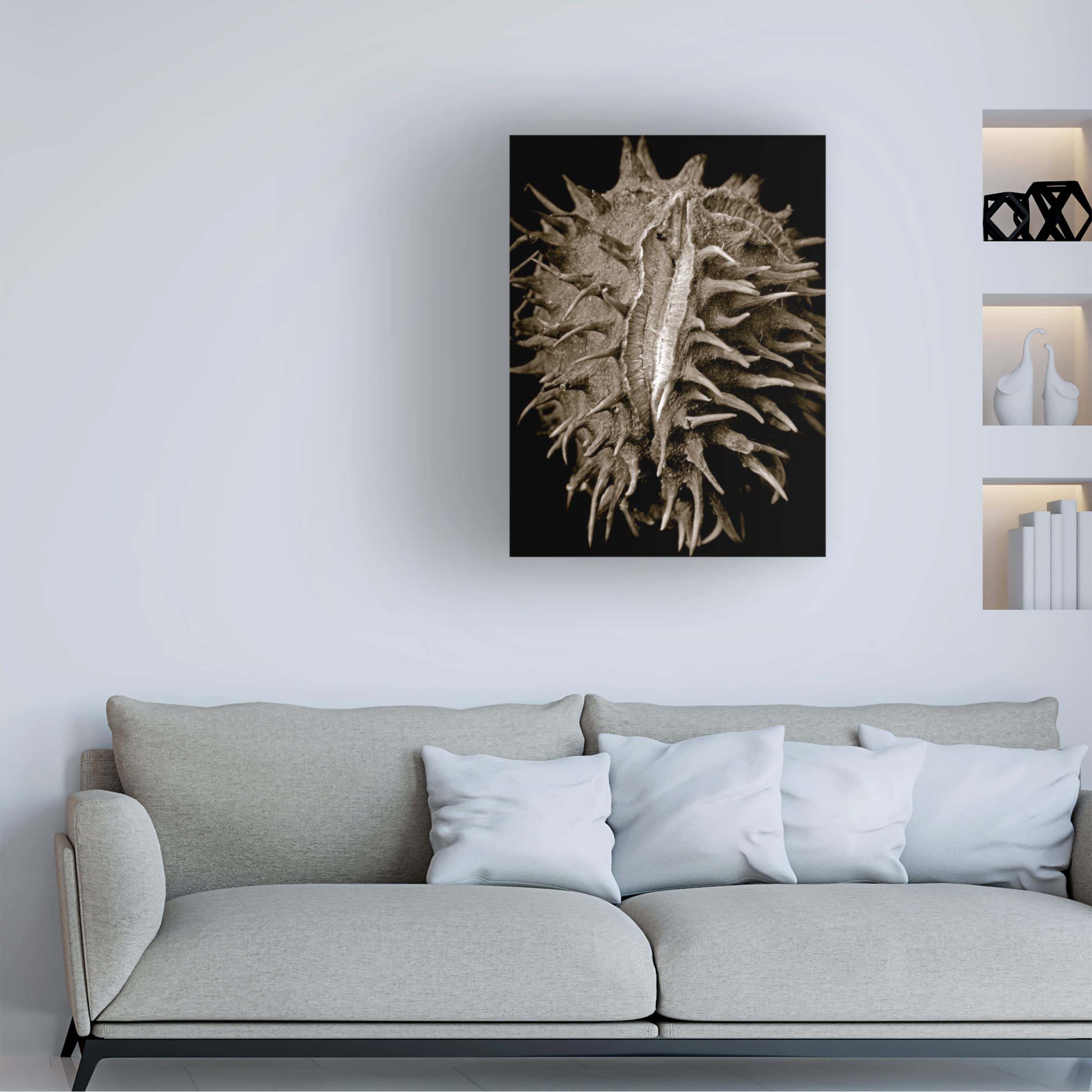 Clive Collie 'Chestnut' Canvas Wall Art Print - Modern Landscape Painting for Living Room, Bedroom & Office Decor | Trademark Fine Art Collection