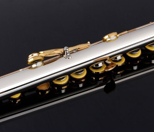 Professional Glory Closed Hole C Flute with Hard Case - Includes Tuning Rod, Cleaning Cloth, Joint Grease & Gloves (Nickel/Laquer Finish) - Perfect for Beginners, Students & Band Performances