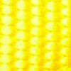 Blazing Yellow