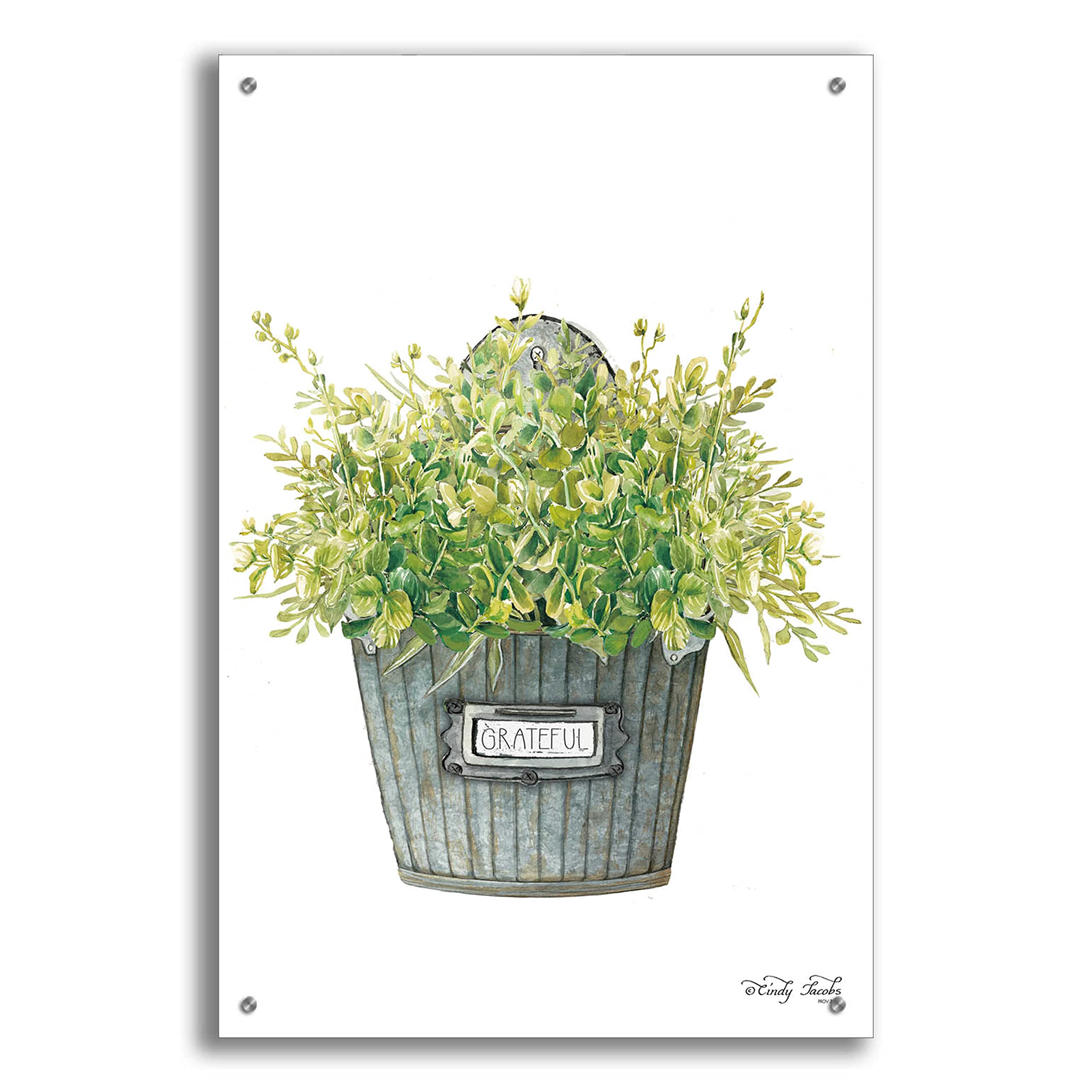 Epic Art 'Grateful Wall Box' by Cindy Jacobs - 24x36 Inch Acrylic Glass Wall Decor for Home & Office - Perfect for Living Room, Bedroom, or Gift Giving