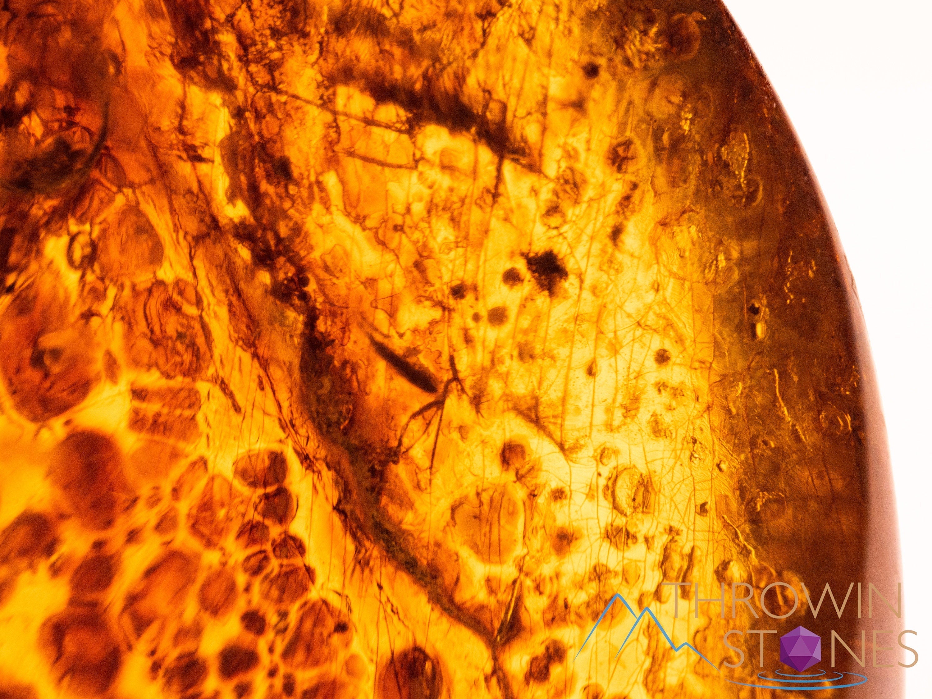 AMBER Stone with Real Insect Fossil - Polished Tumbled Stones & Healing Crystals for Jewelry Making, Meditation & Home Decor (52725)