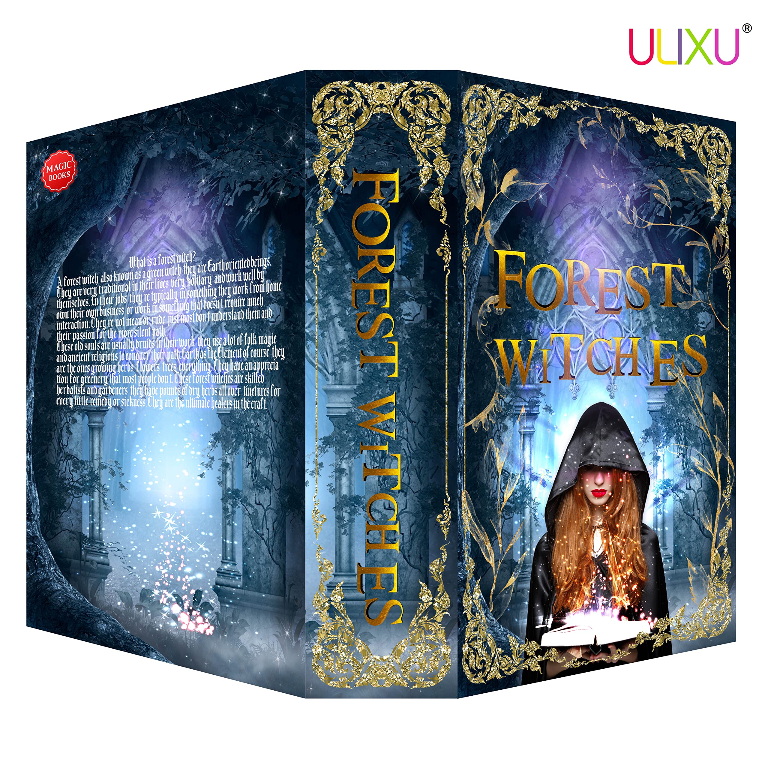 FOREST WITCHES Diversion Book Safe with Key Lock - Secret Hidden Storage Box, Metal Security Lockbox for Valuables (9.3''x6.1''x2.3'') - Perfect for Home, Office & Travel to Hide Cash, Jewelry & Important Documents
