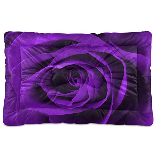 Purple Rose
