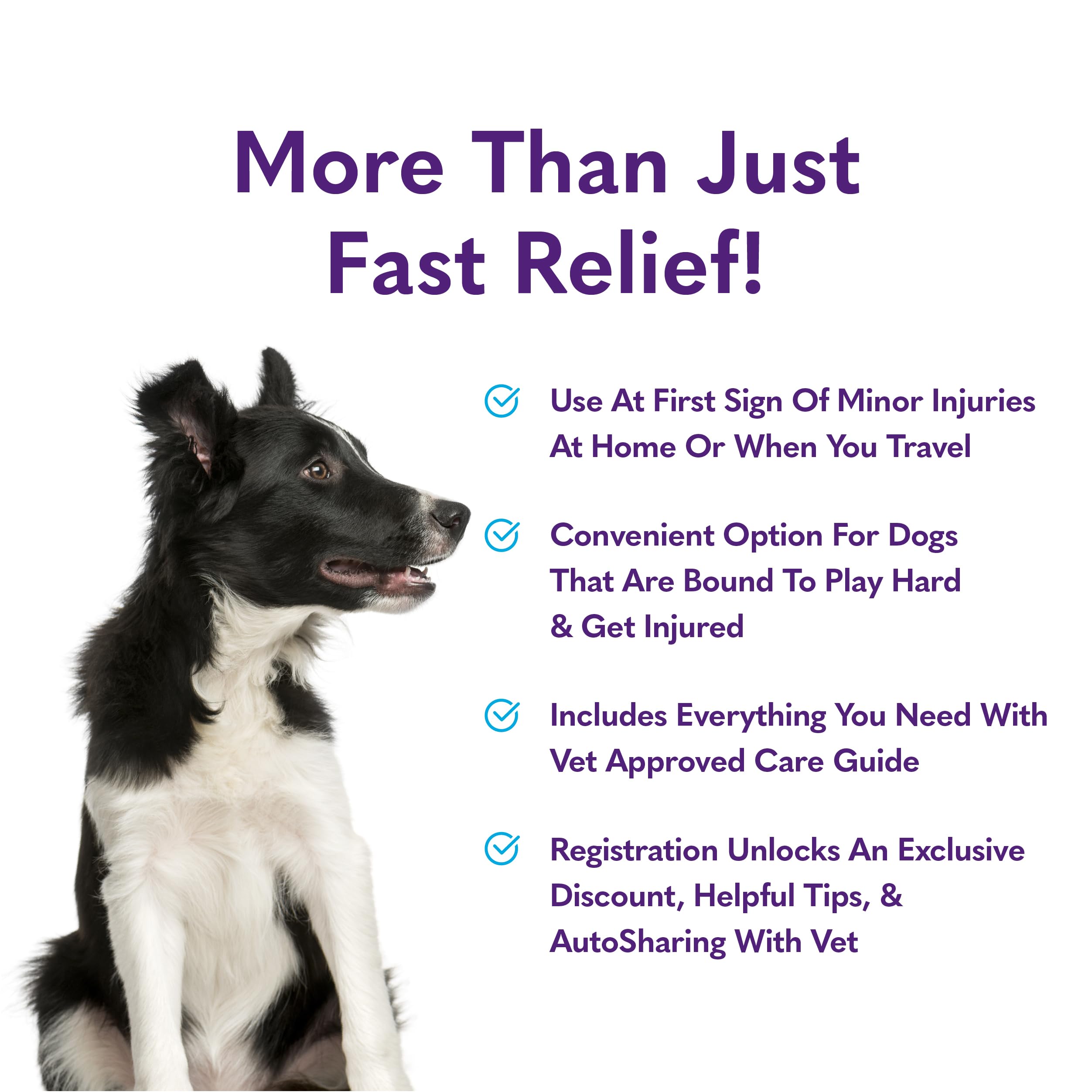 MySimplePetLab Dog First Aid Kit - Essential Pet Medical Supplies for Travel, Wounds, Cuts & Minor Injuries | Compact Emergency Care for Dogs at Home, Hiking or Road Trips