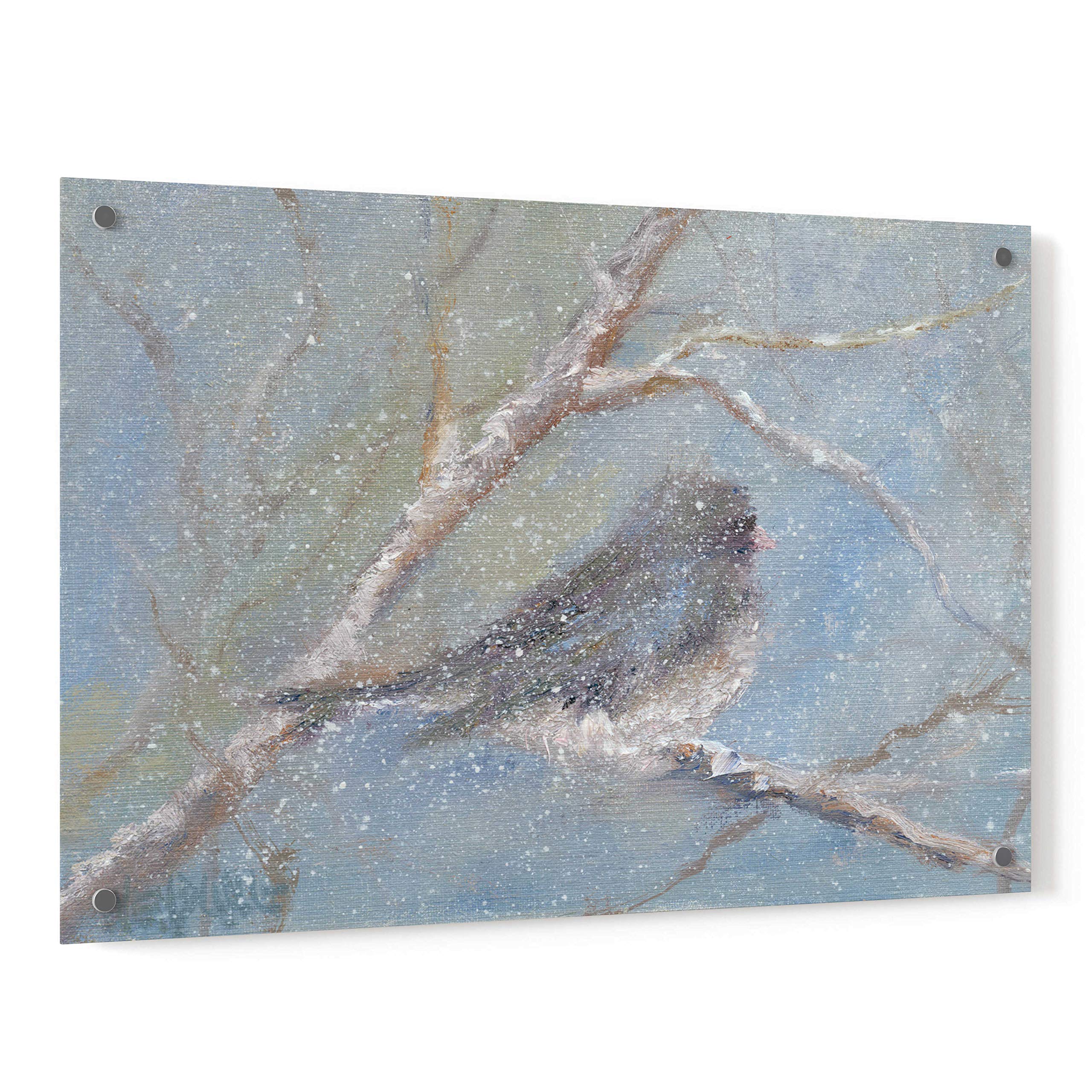 Epic Art 'Chance of Snow II' by Marilyn Wendling - 36x24 Inch Acrylic Glass Wall Decor - Perfect for Living Room, Bedroom & Office Modern Art Display