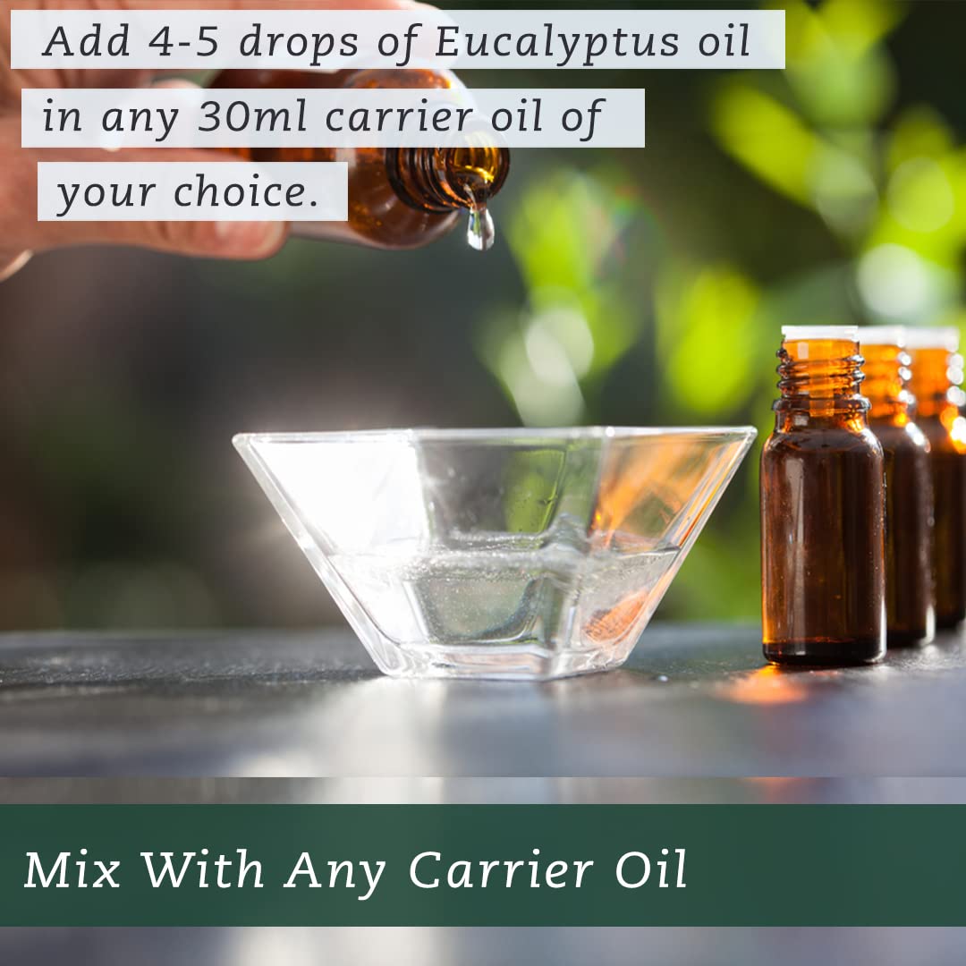 100% Pure & Natural Eucalyptus Essential Oil (Nilgiri Tel) - Therapeutic Grade for Aromatherapy, Steam Inhalation, Hair Growth & Skin Care | Relieves Cold & Cough | 15ml Bottle for Diffusers, Massage & Home Spa