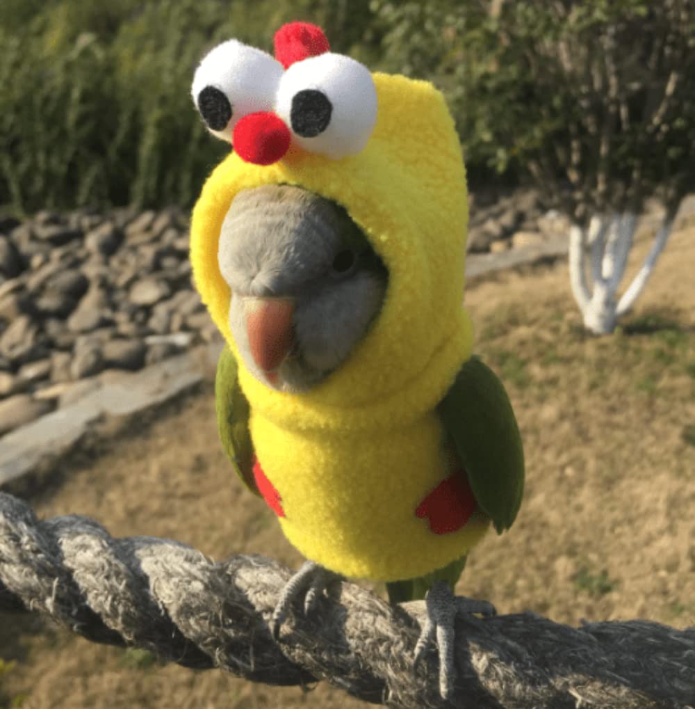 Bird Diaper Flight Suit - Chicken Shaped Bird Costume for Parrots, Lovebirds, Parakeets & Cockatiels | Small Animal Apparel & Cosplay Photo Prop (Green-cheeked Conure) - Perfect for Pet Parties, Halloween & Photo Shoots