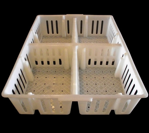 Rite Farm Products Poultry Chick Sorting Box - Heavy Duty Plastic Chick Basket for Baby Chicks, Ducklings & Poults - Perfect for Hatcheries, Farms & Poultry Breeding (12