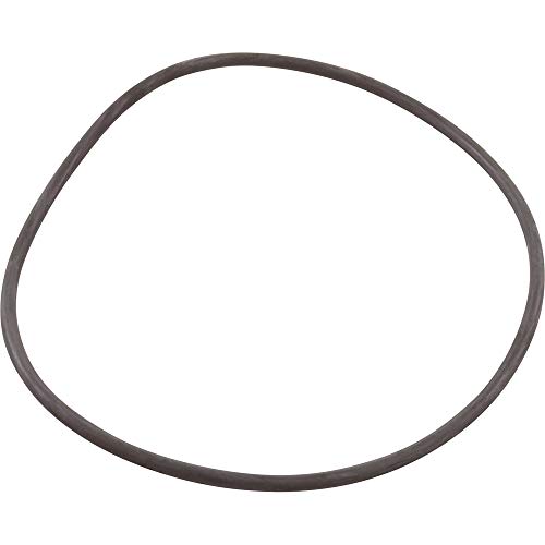 Fluidra O-Ring Replacement for Astral Pool Pump Strainer Basket Lid - Durable Pool Filter Seal Ring for Swimming Pool Maintenance & Repair