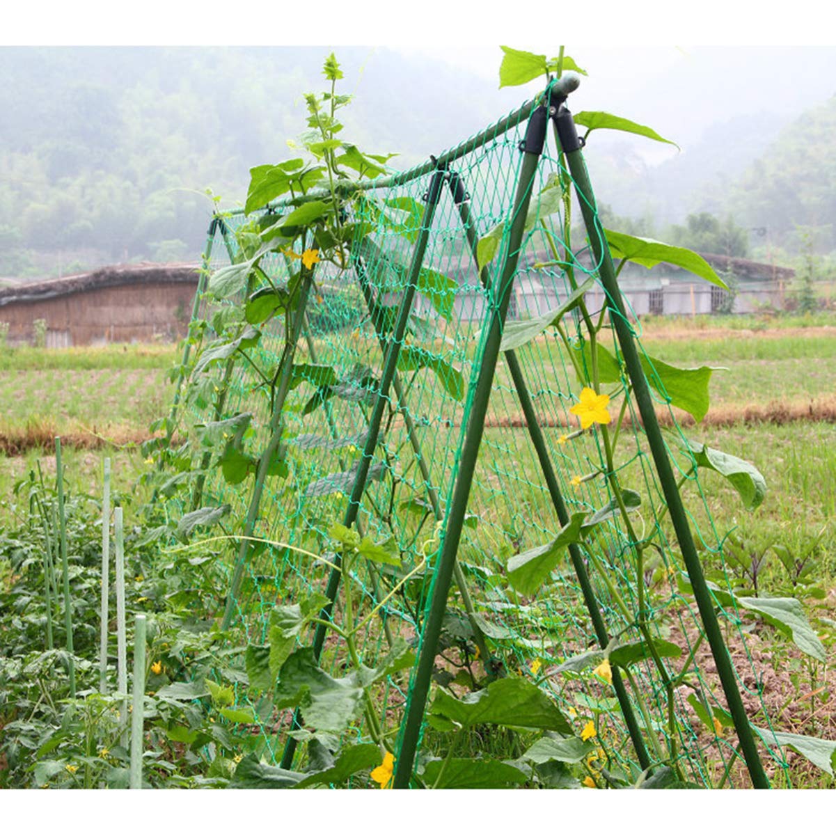 DOITOOL 3-Pack Garden Netting for Petunias & Climbing Vines - Durable Plant Support Mesh for Vertical Gardening, Trellis Net for Flowers, Vegetables, and Fruits - Perfect for Backyard, Balcony, and Greenhouse Use