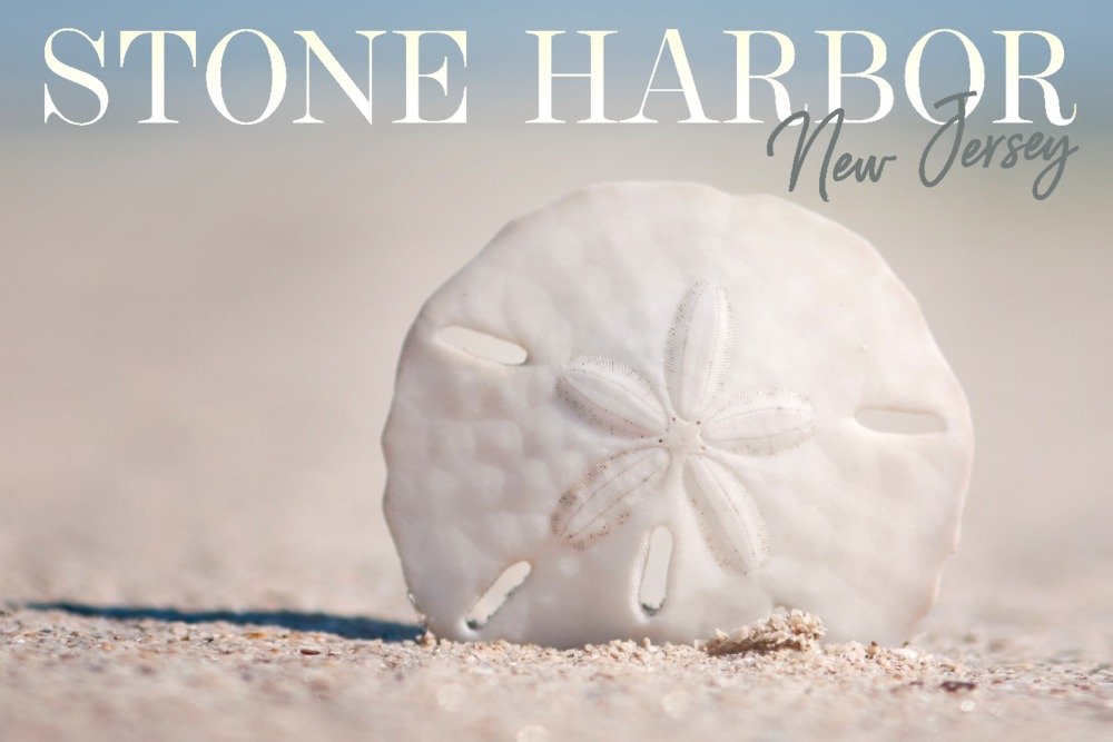 12x18 Sand Dollar Metal Wall Art - Gallery Quality Aluminum Decor for Beach House, Coastal & Nautical Home Decor | Perfect for Living Room, Bedroom, Bathroom & Office