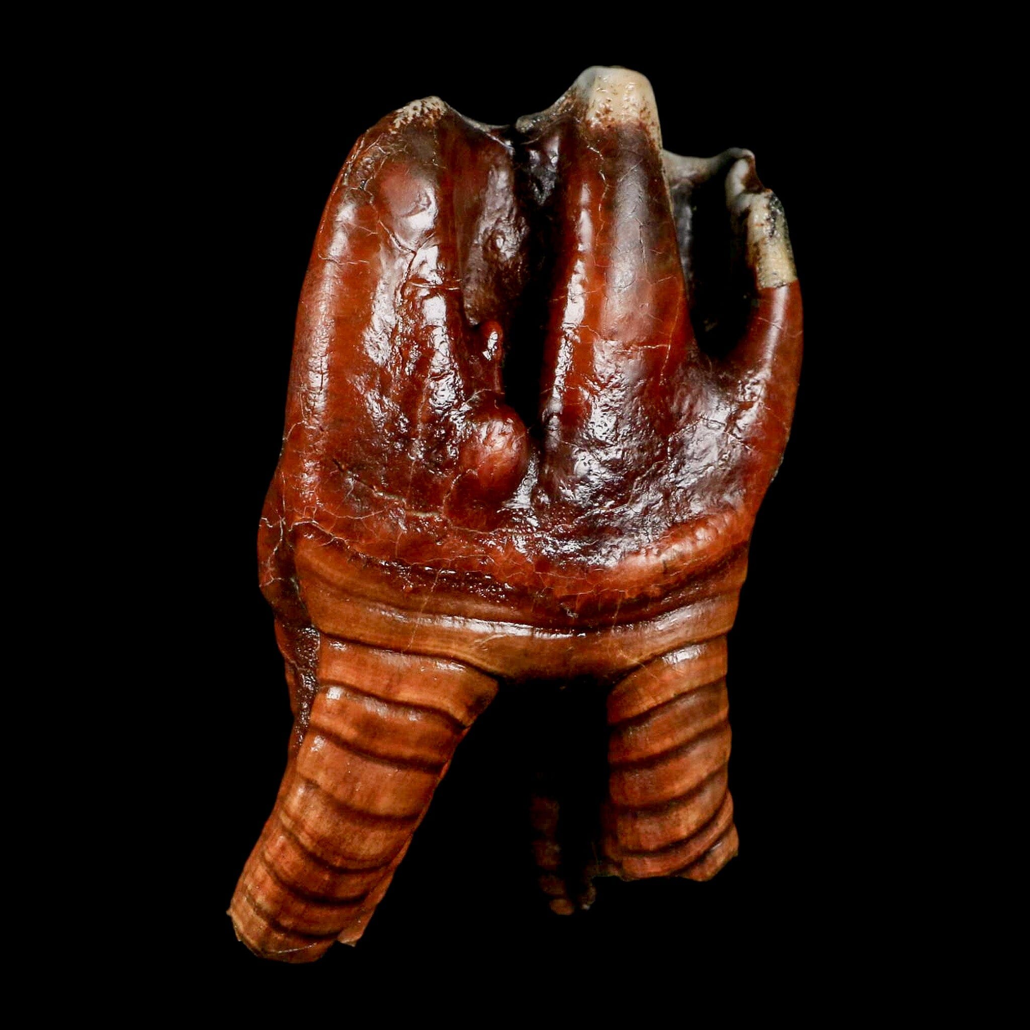 3.5