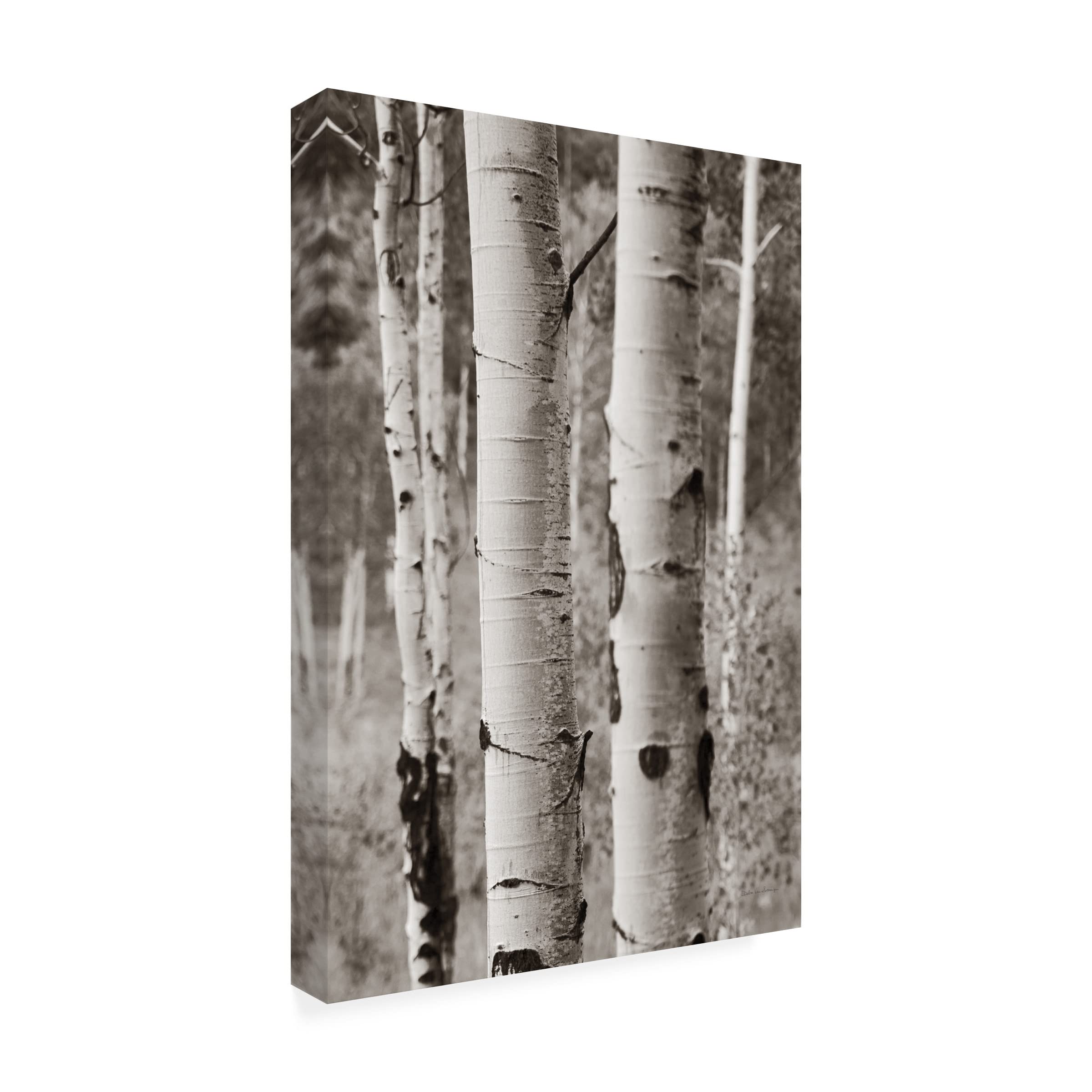 Debra Van Swearingen 'Aspens II' Canvas Wall Art Print - Nature Landscape Painting for Living Room, Bedroom & Office Decor