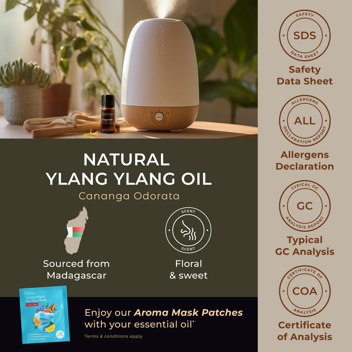Ylang Ylang & Rose Essential Oil Set - 100% Pure Natural Aromatherapy Grade for Skin Care, Relaxation & Massage - 2x10ml Bottles by Gya Labs - Perfect for Diffusers, Bath & DIY Beauty Products
