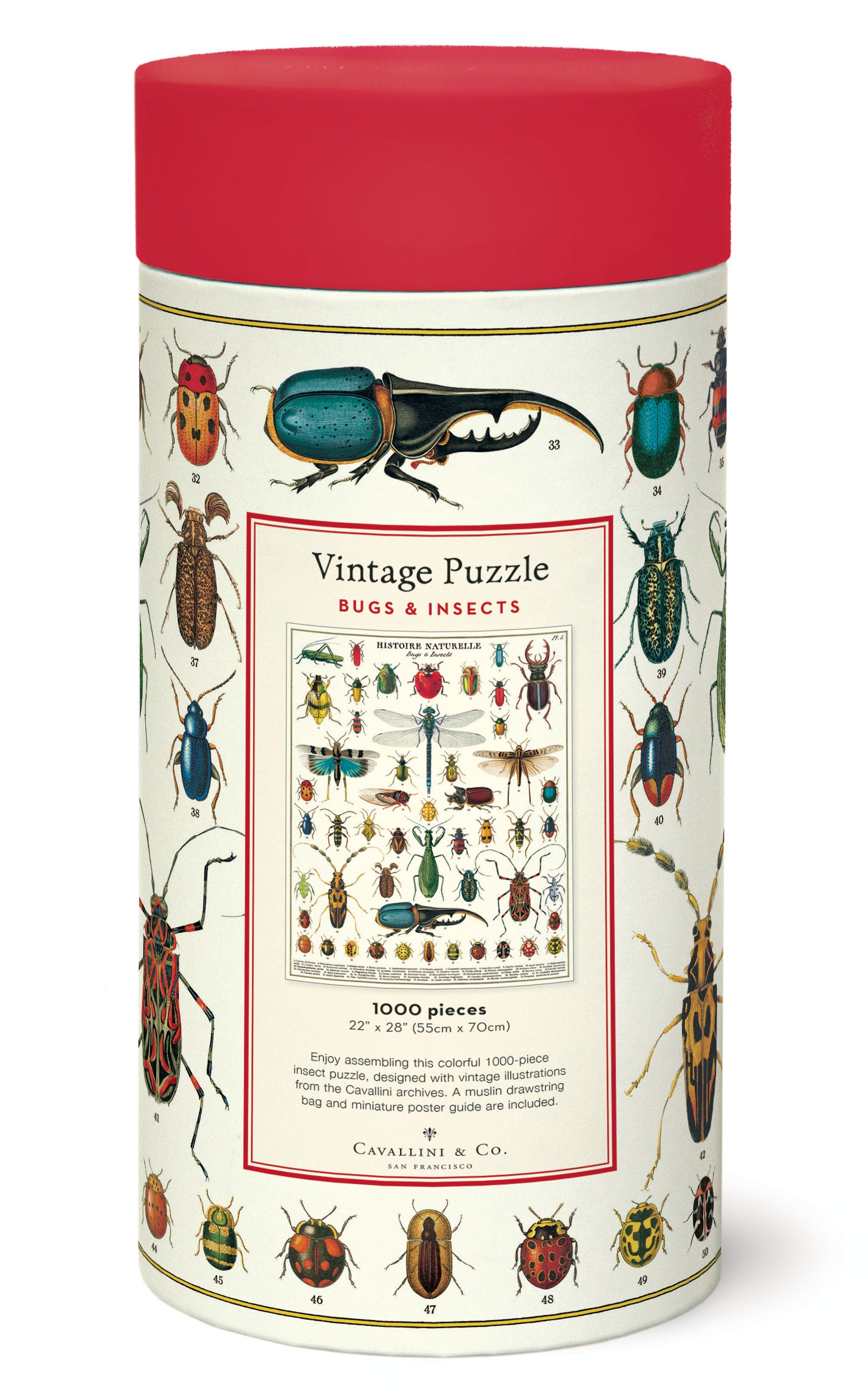 1,000 Piece Bug & Insect Jigsaw Puzzle - Educational Nature Themed Puzzle for Adults & Kids - Perfect for Family Game Night & Classroom Learning Activities