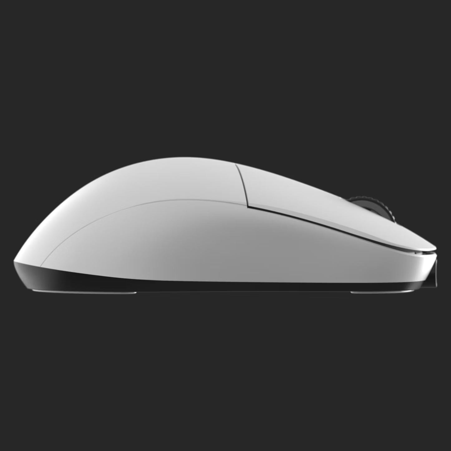 Endgame Gear XM2we Wireless Gaming Mouse - Lightweight, Ergonomic Design for Esports & FPS Gaming | Ultra-Polling 4000Hz | Perfect for Competitive Gaming, Streaming & Office Work