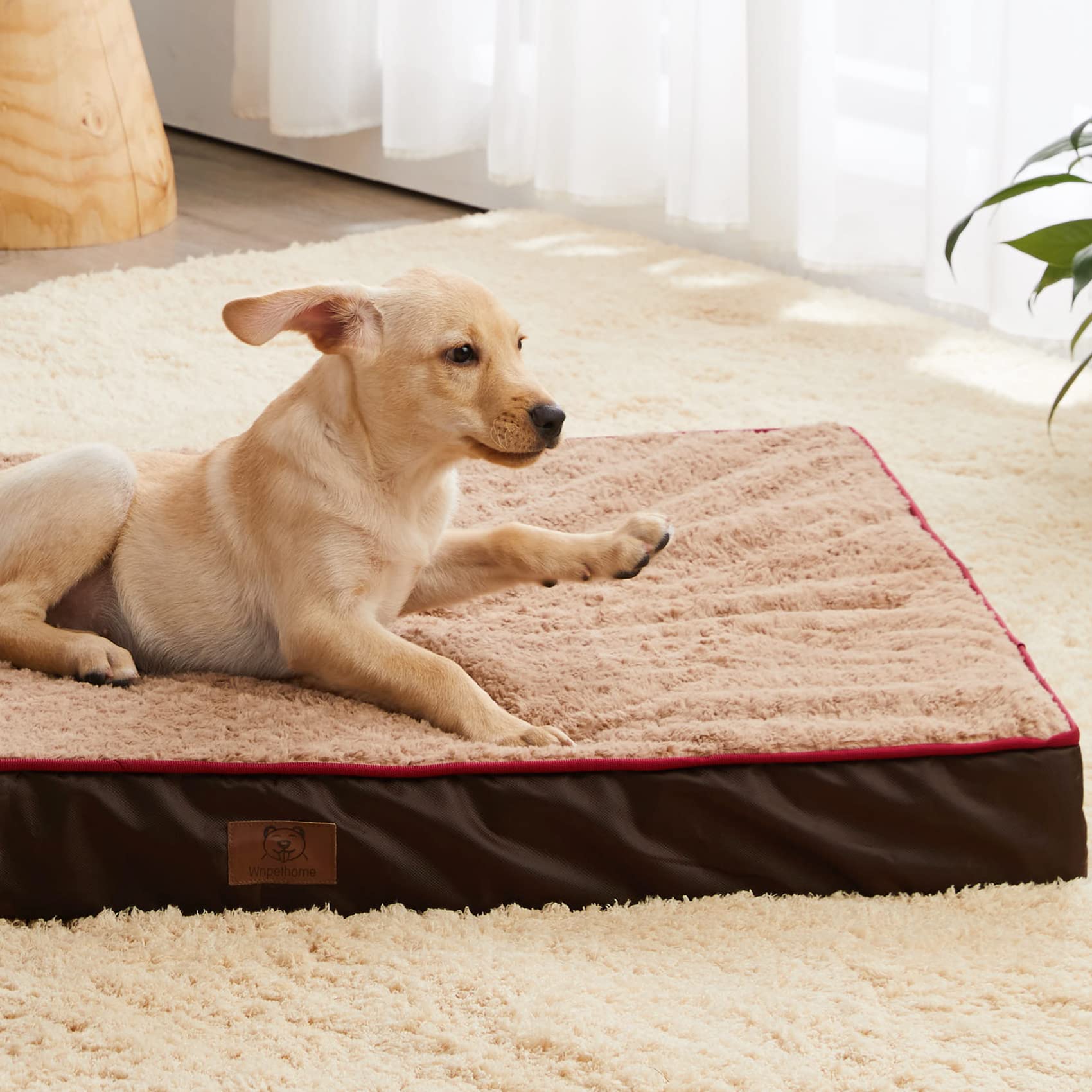 Orthopedic Dog Bed for Medium Dogs - Egg Crate Foam Support with Soft Rose Plush & Waterproof Removable Cover - Perfect for Arthritis Relief & Comfortable Sleeping - WNPETHOME Pet Bed for Home, Crate, or Kennel Use
