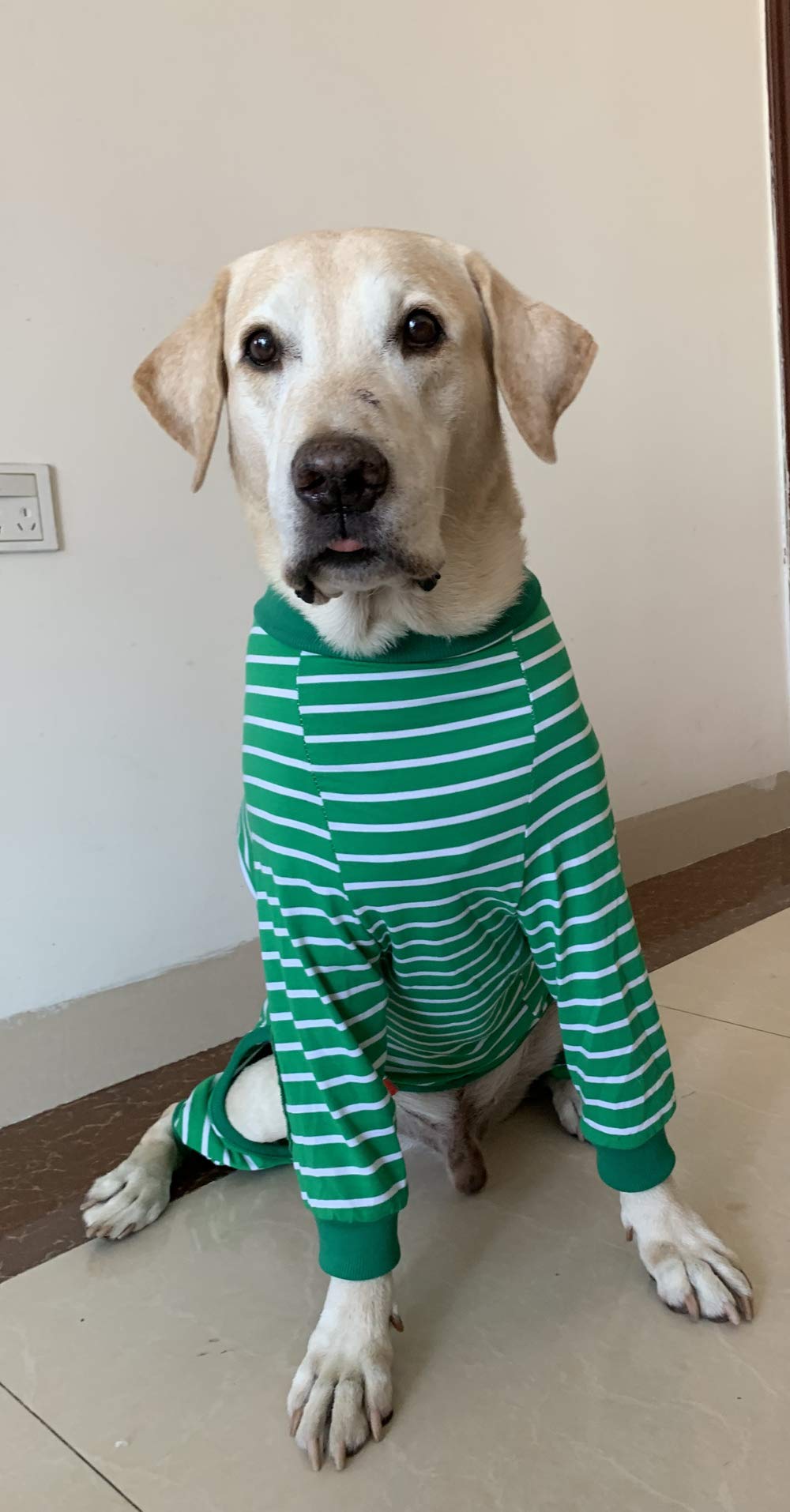 Large Dog Striped Jumpsuit - 4-Legged Cotton Pajamas with Zipper for Big Dogs (Size 6, Green) - Cozy Pet Clothes for Winter & Indoor Lounging