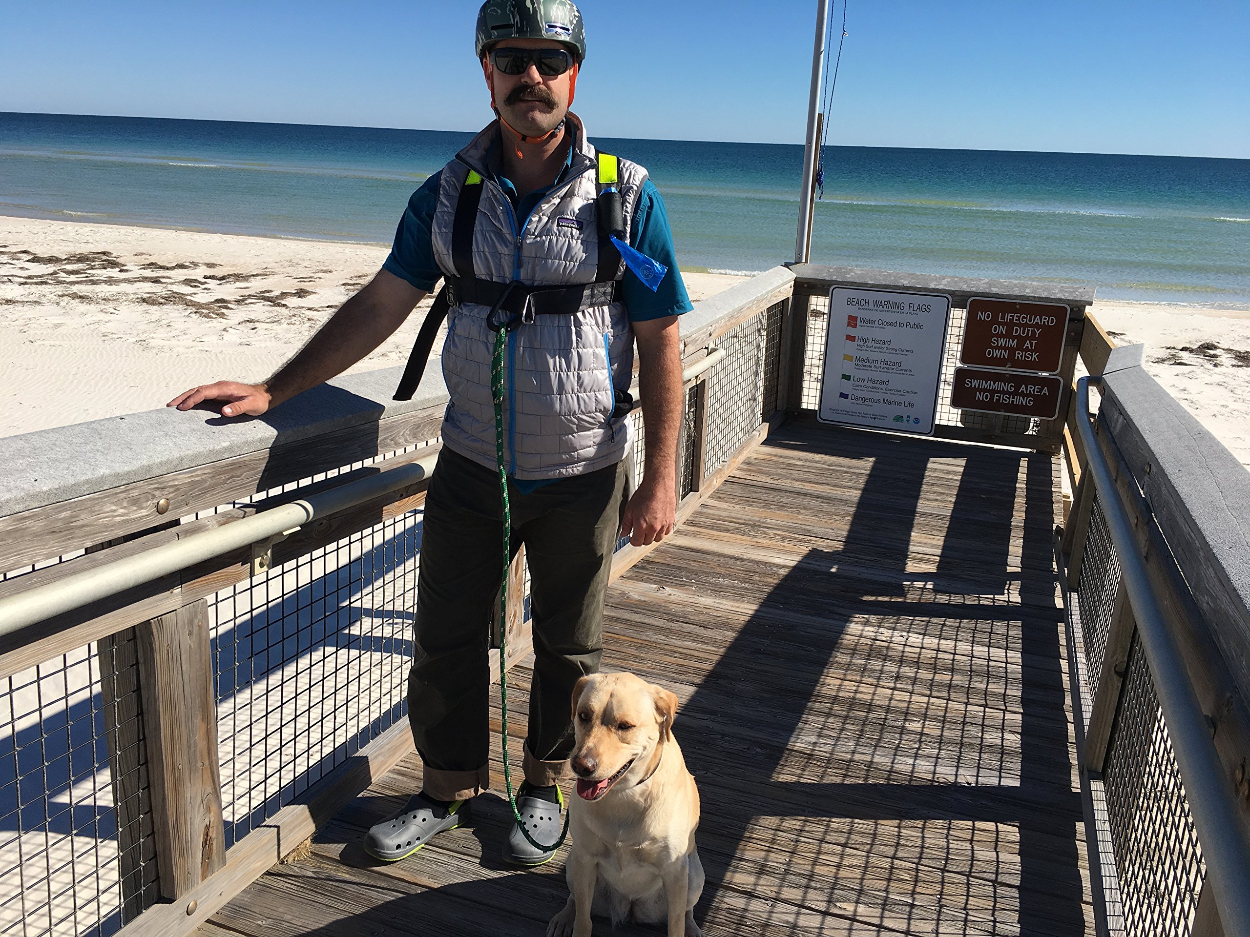 Hands Free Dog Harness - No Pull Pet Walking Vest with Adjustable Straps for Small Medium Large Dogs | Perfect for Hiking, Running & Daily Walks