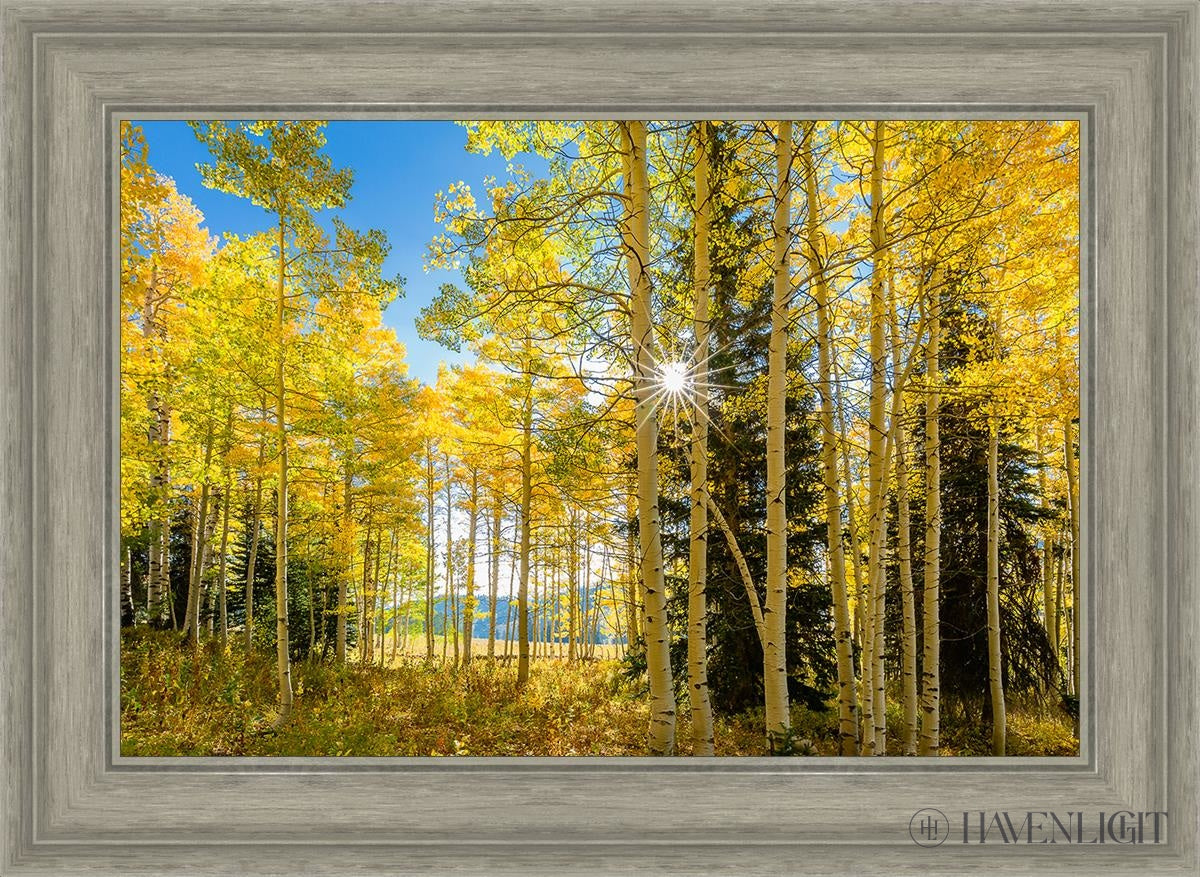 Autumn in the Rocky Mountains - Stunning Fall Foliage at Wasatch National Forest Utah | Perfect for Hiking, Photography & Nature Exploration