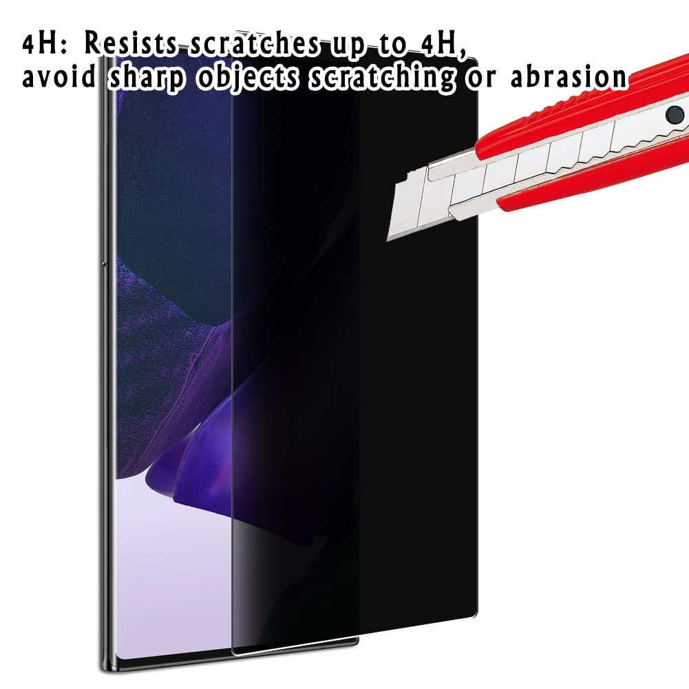 Brinno Duo Privacy Screen Protector - Anti-Spy Film for Office & Travel
