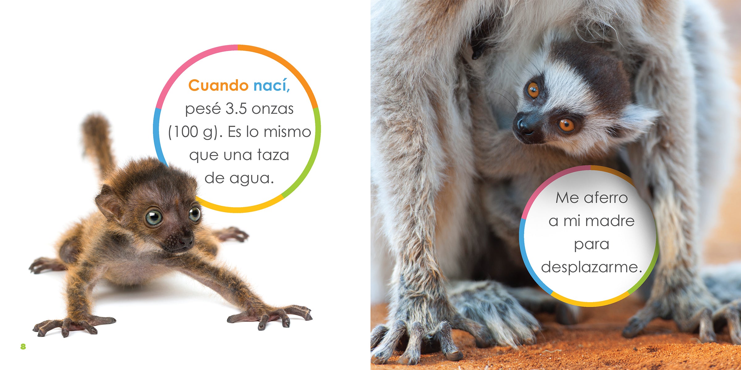 Lemures Bebes 978-1-64026-453-3 - Adorable Baby Lemur Plush Toy for Kids, Perfect for Cuddling, Gifts & Nursery Decor