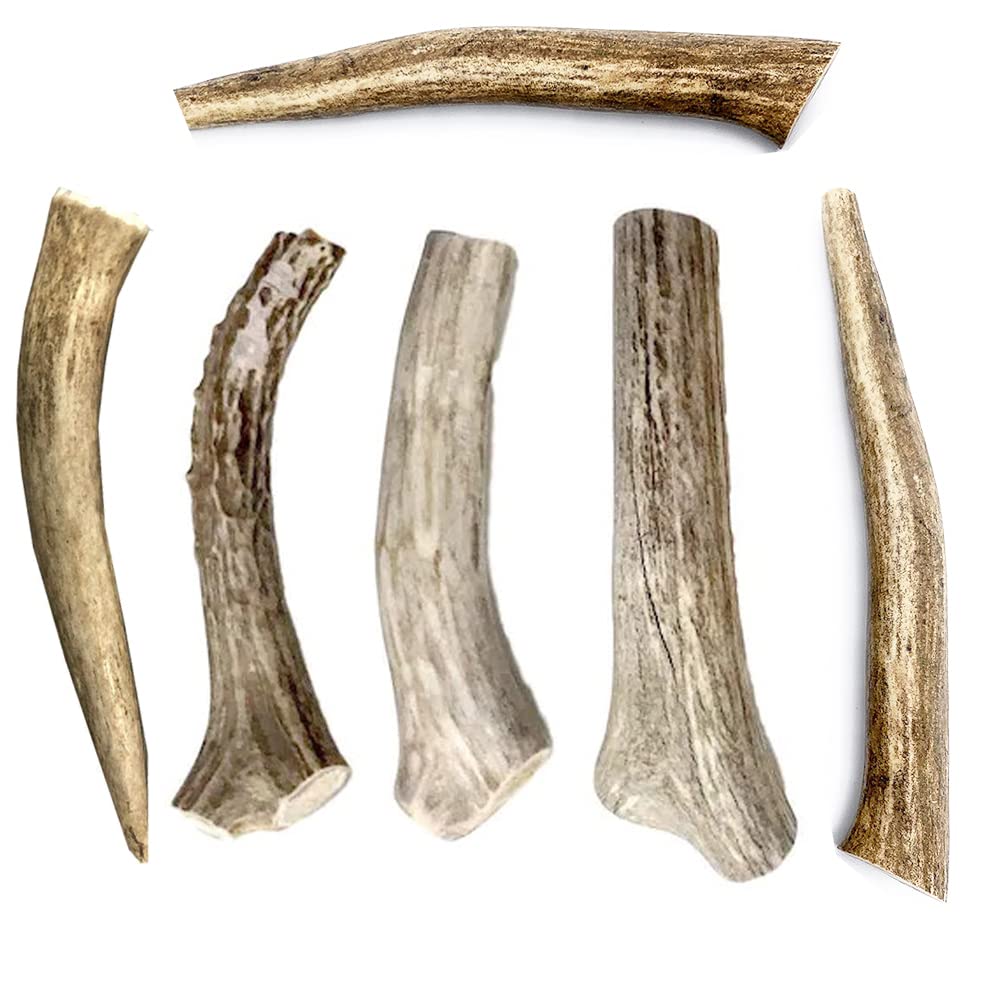 Premium Deer Antler Dog Chews - 6 Pack Natural Shed Antlers (4-7 Inch) for Small & Medium Breed Aggressive Chewers - Long Lasting Dog Bones Sourced in USA - Perfect for Teething Puppies, Dental Health & Outdoor Playtime