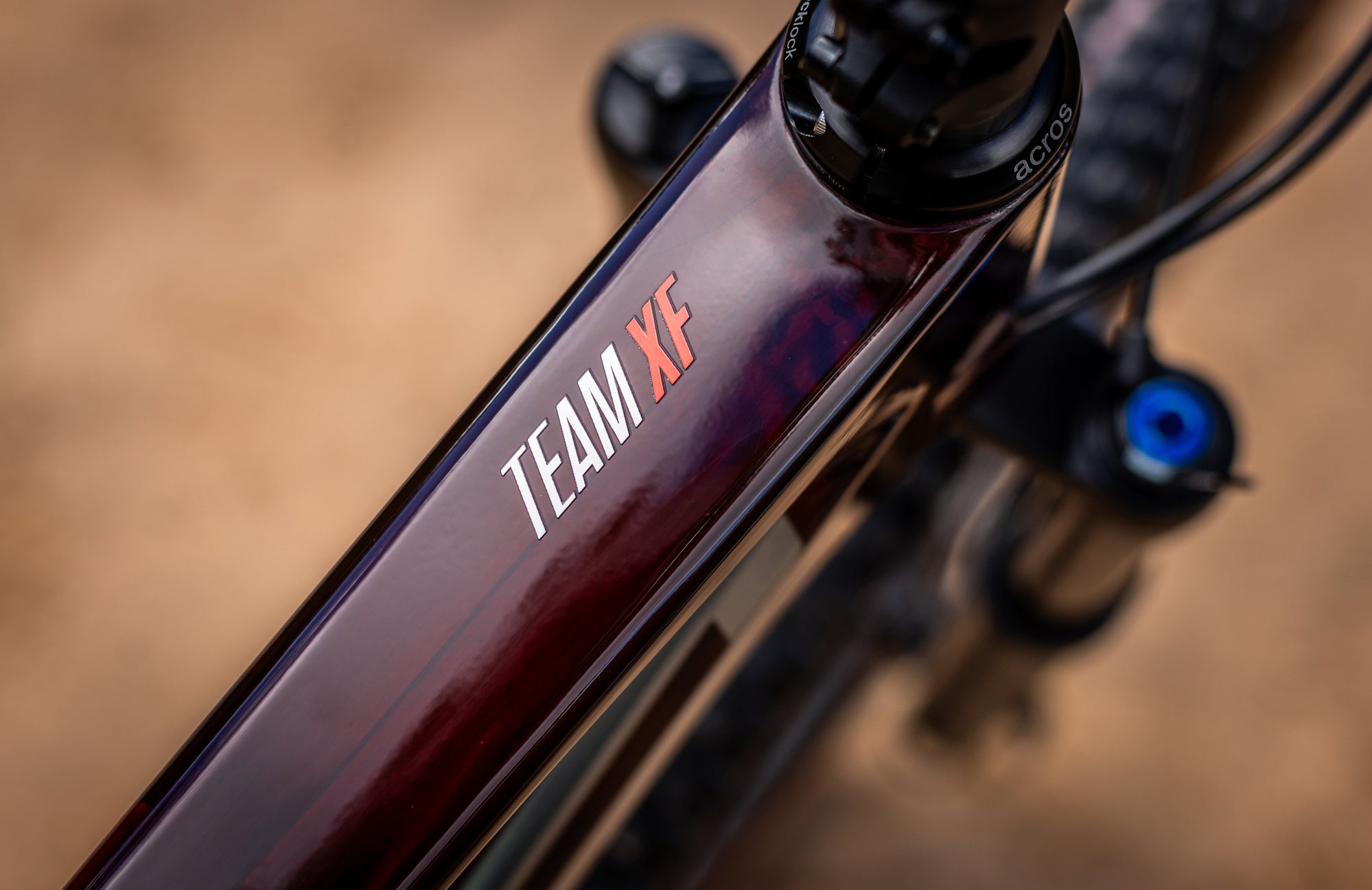 XF 29 Carbon XC Mountain Bike - Lightweight Full Carbon Frame, 29-Inch Wheels for Cross-Country Racing & Trail Riding | Perfect for Professional Cyclists & Mountain Adventures
