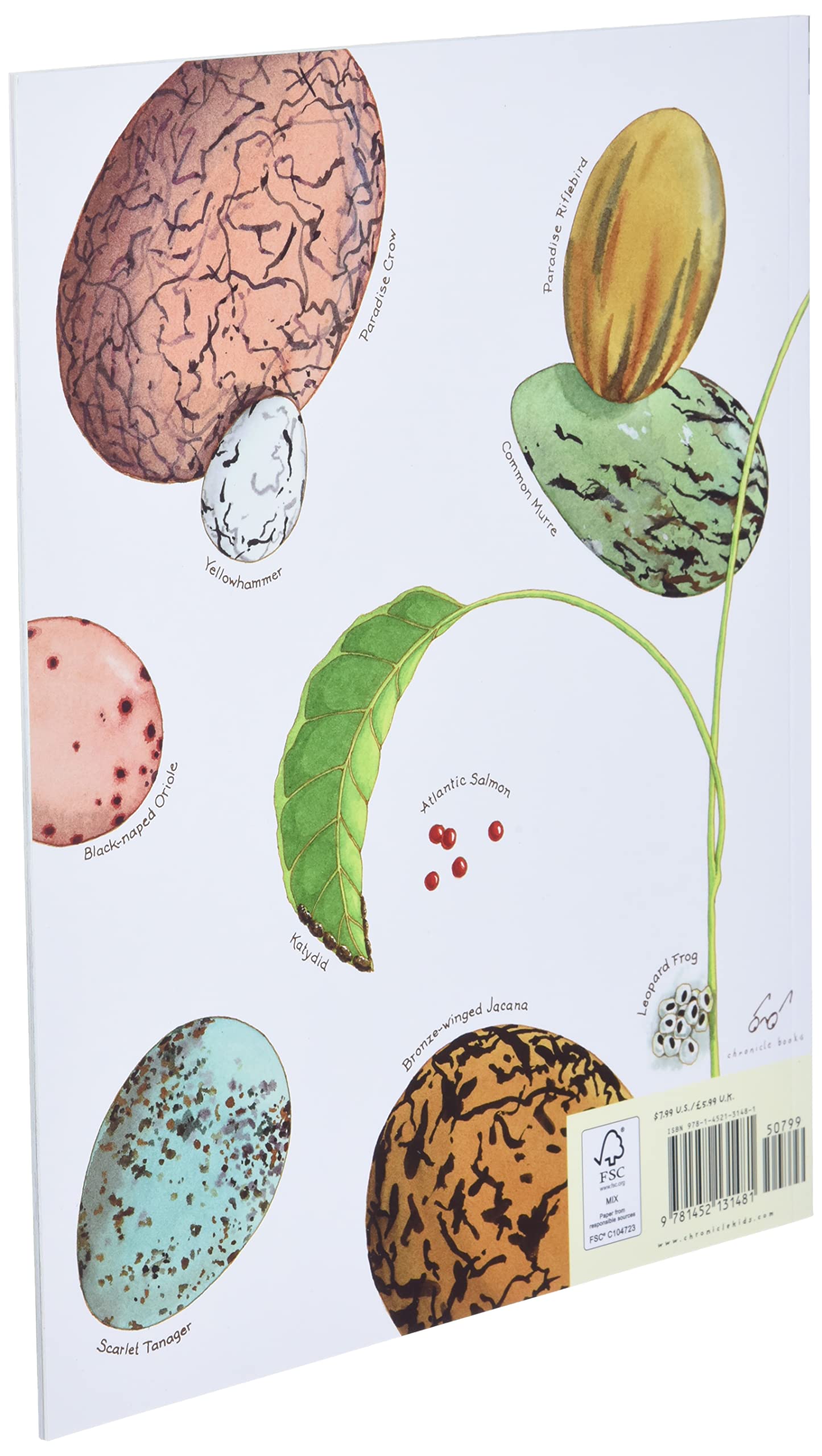 An Egg Is Quiet: Beautifully Illustrated Children's Picture Book About Eggs by Sylvia Long - Perfect for Storytime, Nature Education & Kids' Bedtime Reading