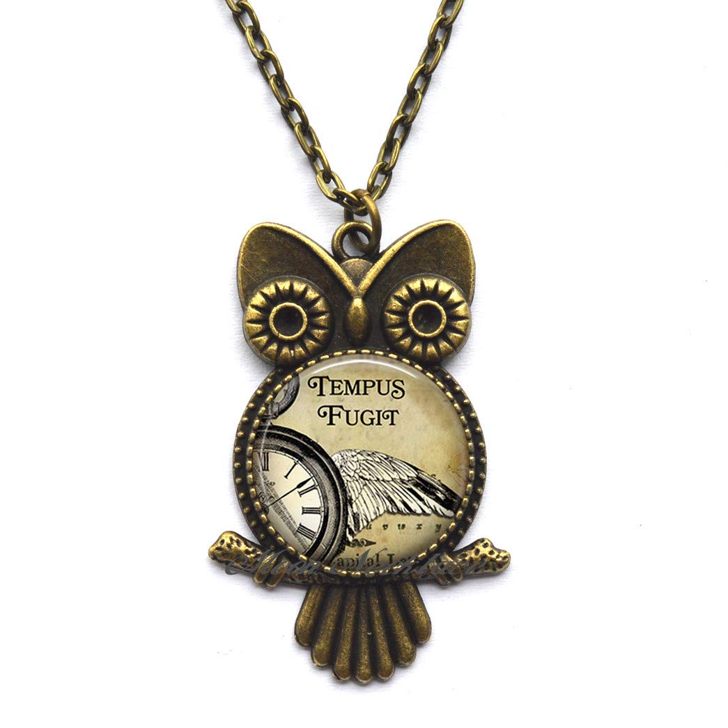 Charming Owl Necklace for Women - Dainty Steampunk Owl Pendant with Tempus Fugit Quote - Delicate Jewelry Gift for Birthday, Anniversary & Everyday Wear - Perfect for Boho Fashion Lovers
