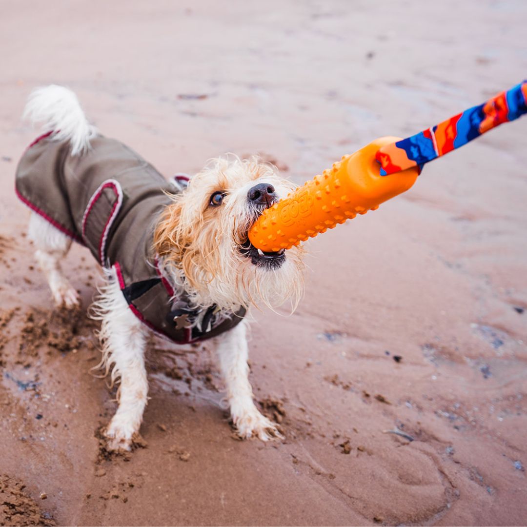 BOB: 3-in-1 Training Dummy for Dogs – Perfect for Hunting, Retrieval & Obedience Practice