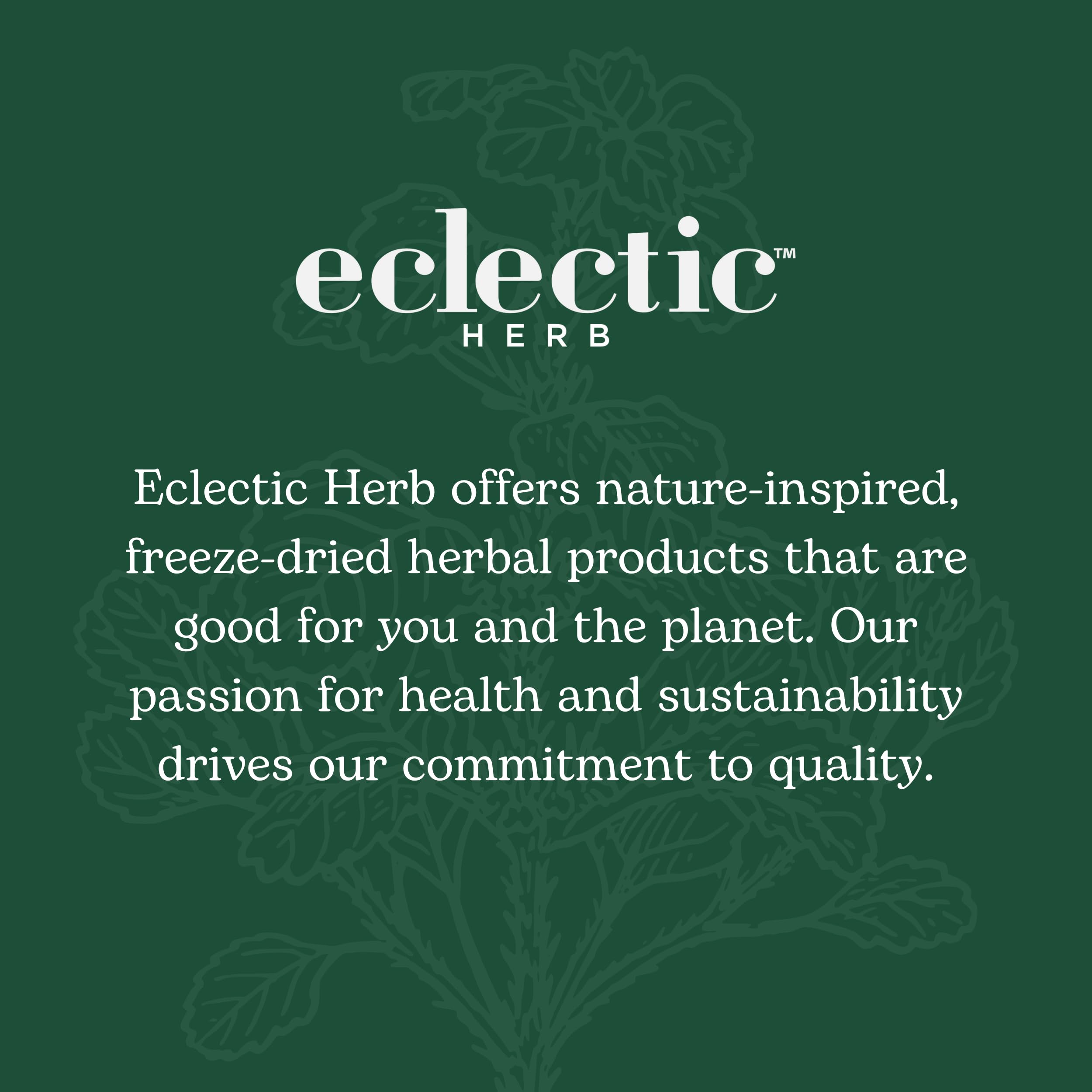 ECLECTIC INSTITUTE Raw Fresh Freeze-Dried Eye Food - Whole Food Powder Supplement for Vision Support | 4.9 oz | Perfect for Smoothies, Yogurt & Healthy Recipes