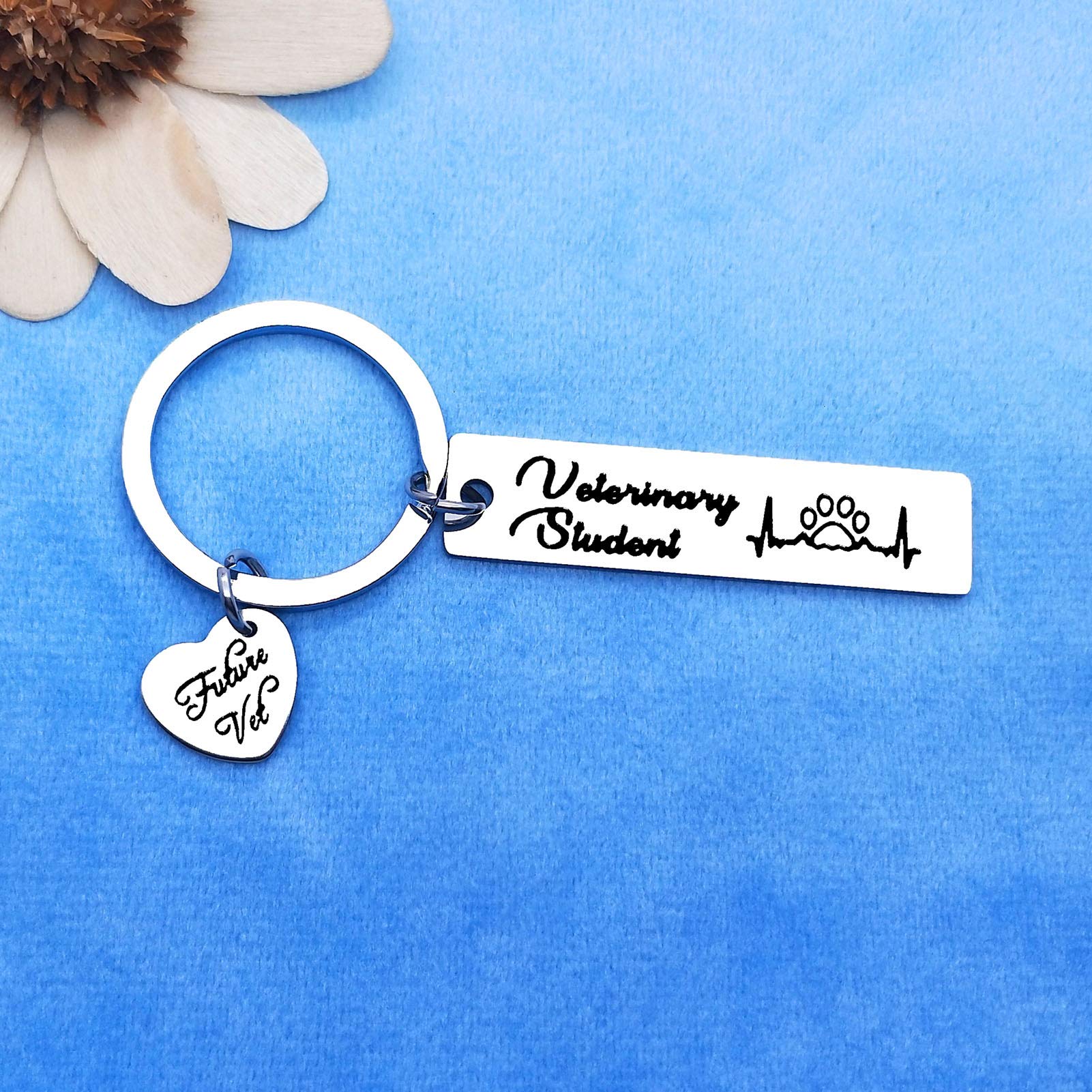 Veterinarian Appreciation Keychain - Vet Tech Gifts for Animal Rescue Workers, Veterinary Graduation Present - Perfect for Clinics, Hospitals & Pet Lovers