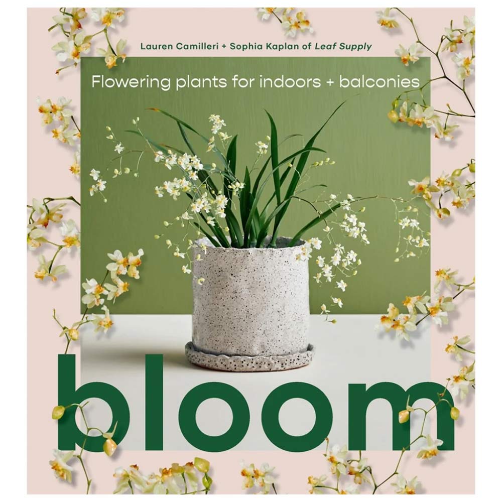 Bloom: Best Indoor Flowering Plants for Home & Balcony - Perfect for Living Rooms, Bedrooms, and Small Spaces
