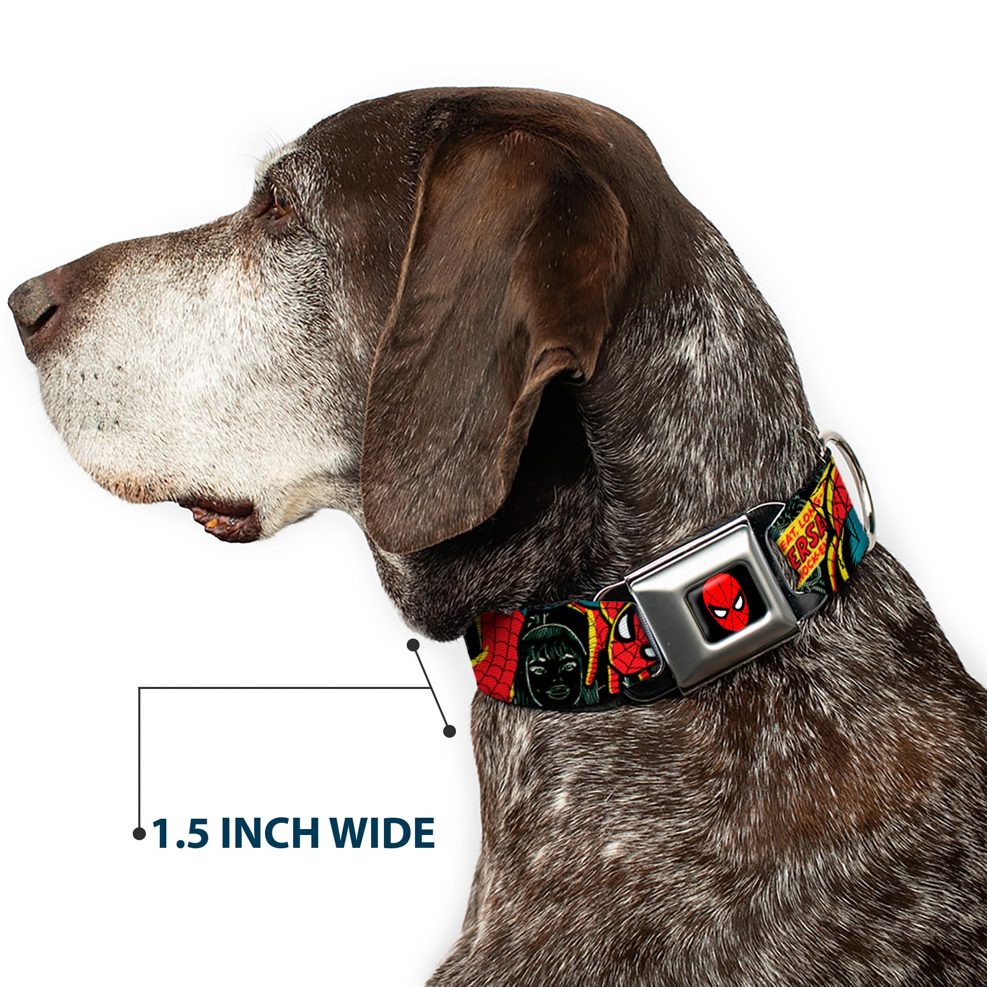 Buckle-Down Spider-Man 100th Anniversary Dog Collar - 1 Inch Wide Adjustable Pet Collar for Small Dogs (9-15