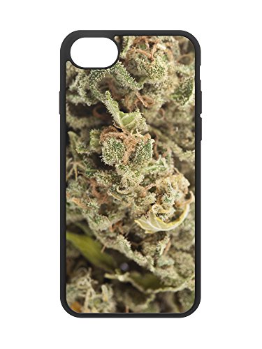 iPhone 7/8