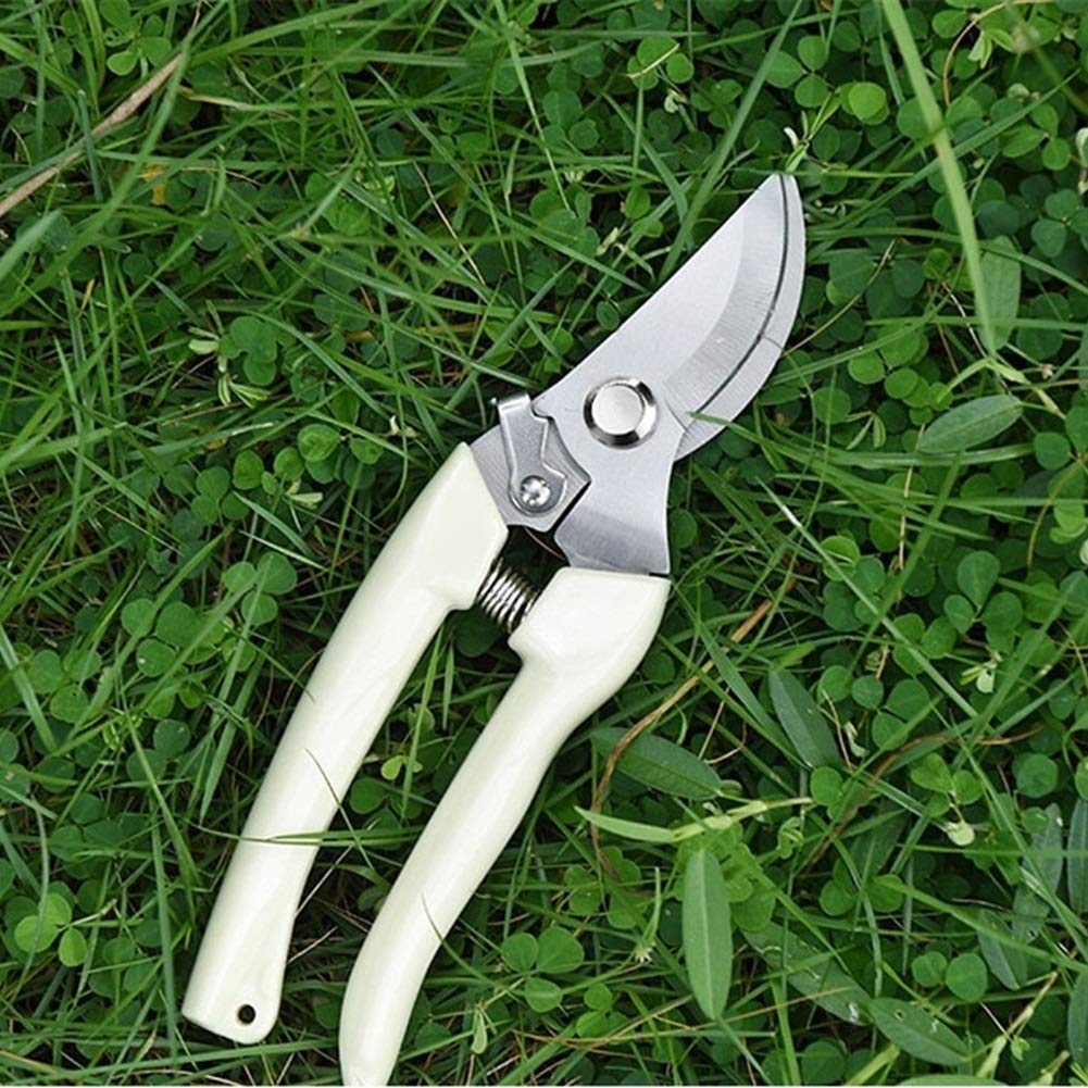 Premium Stainless Steel Garden Pruners - Professional Pruning Shears with Ergonomic Handle for Effortless Cutting | Ideal for Trimming Plants, Flowers, Shrubs & Small Branches | Perfect Gardening Tool for Home Gardeners & Landscapers