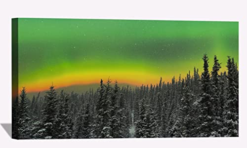 Orange Aurora Above a Snowy Forest