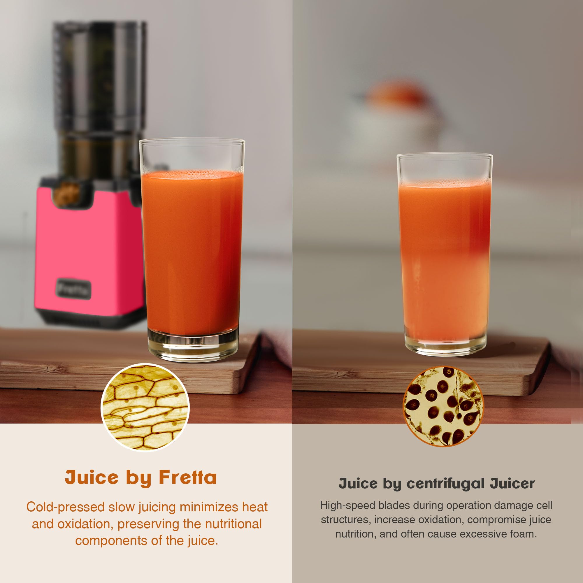 Premium Cold Press Juicer Machine - Fretta 5.3