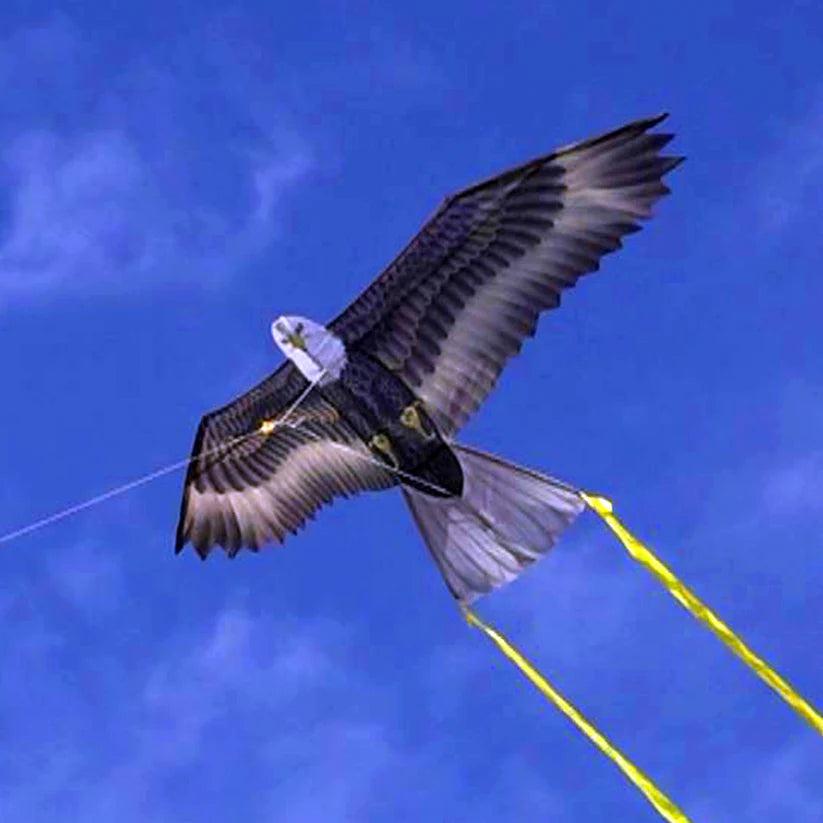 Supersized Bird of Prey - 70 Inch Eagle Kite for Outdoor Activities, Beach Flying, and Park Adventures
